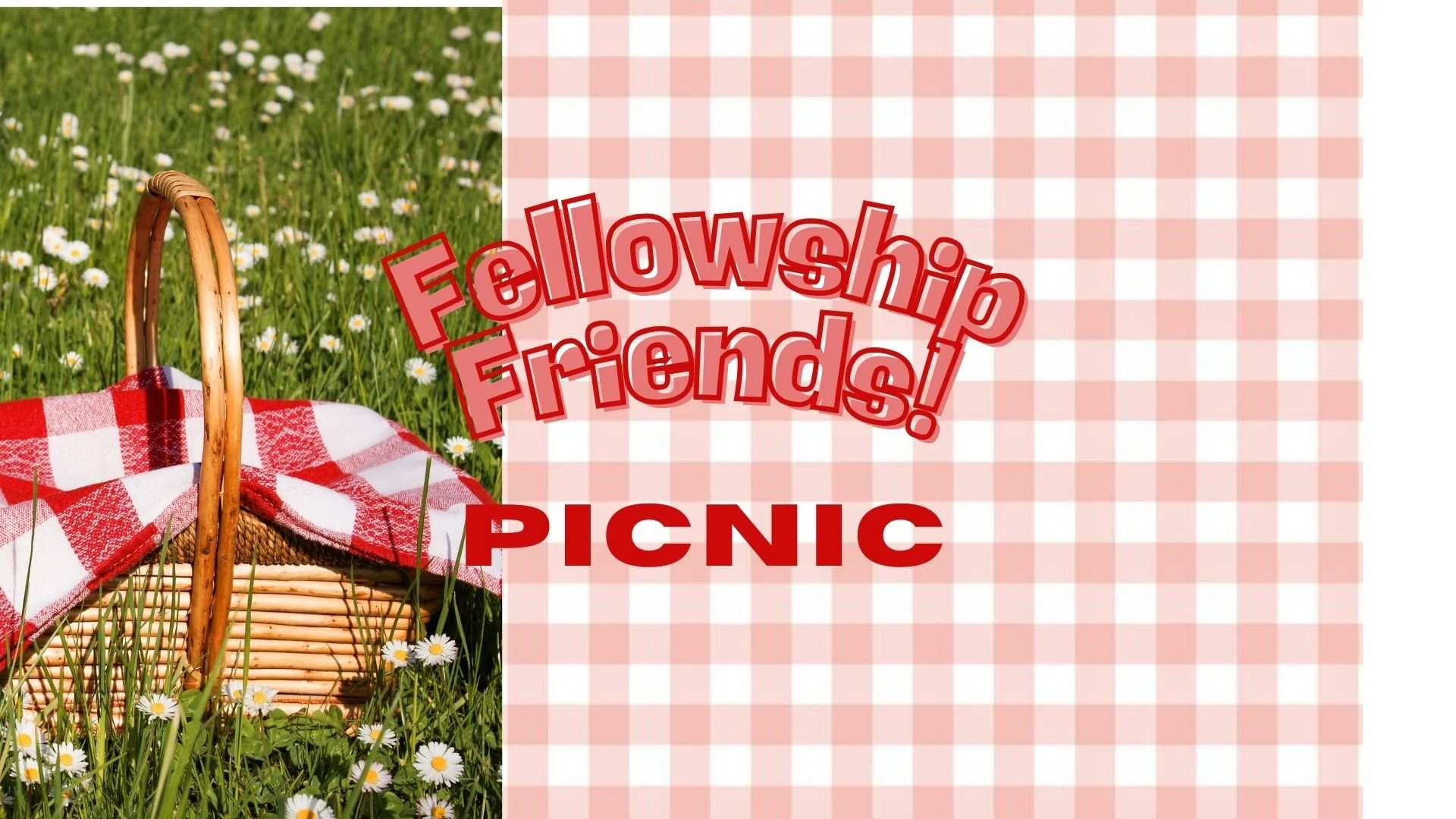 Fellowship Friends Picnic
