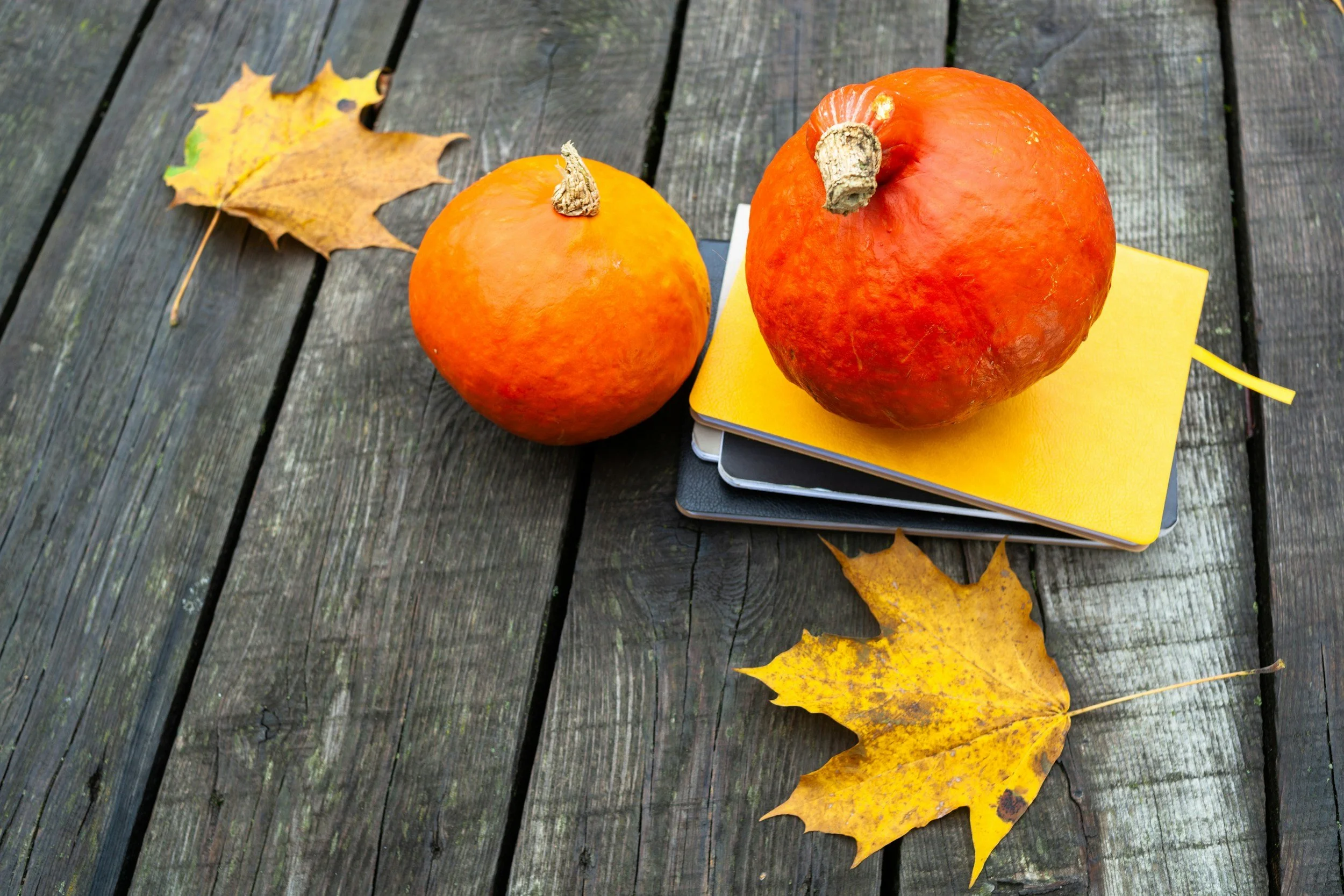 Fall Kids and Youth Programming Begin