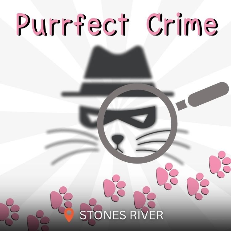 the-purrfect-crime-escape-room-game.jpg