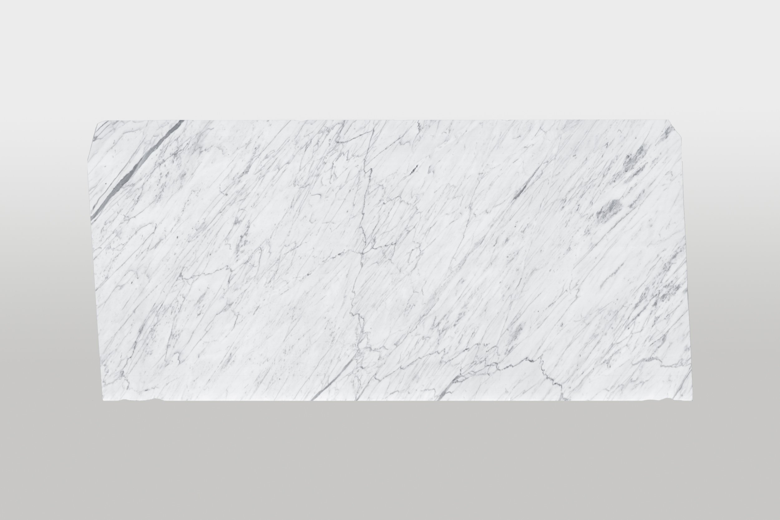 Bianco Venatino