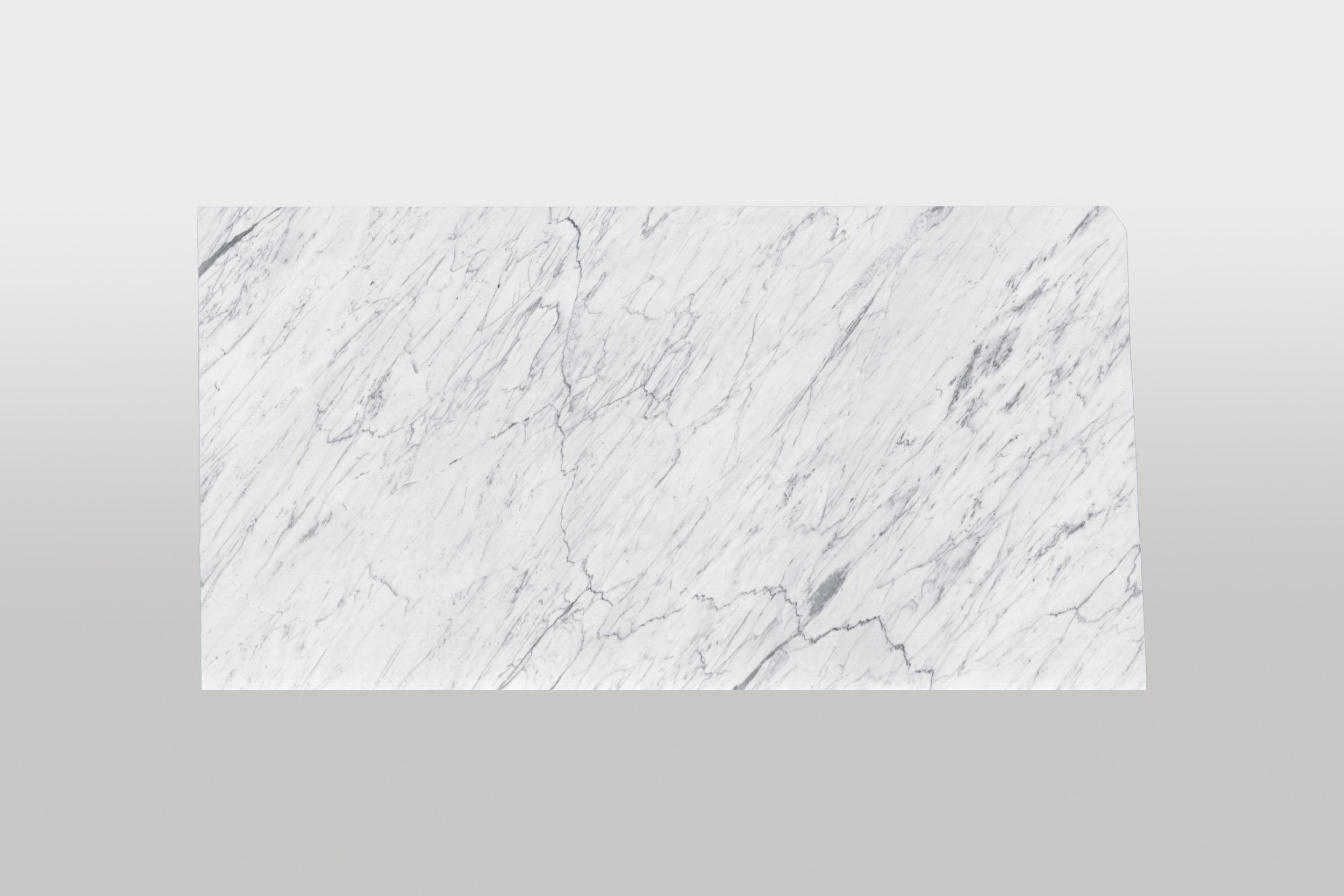 Bianco Venatino