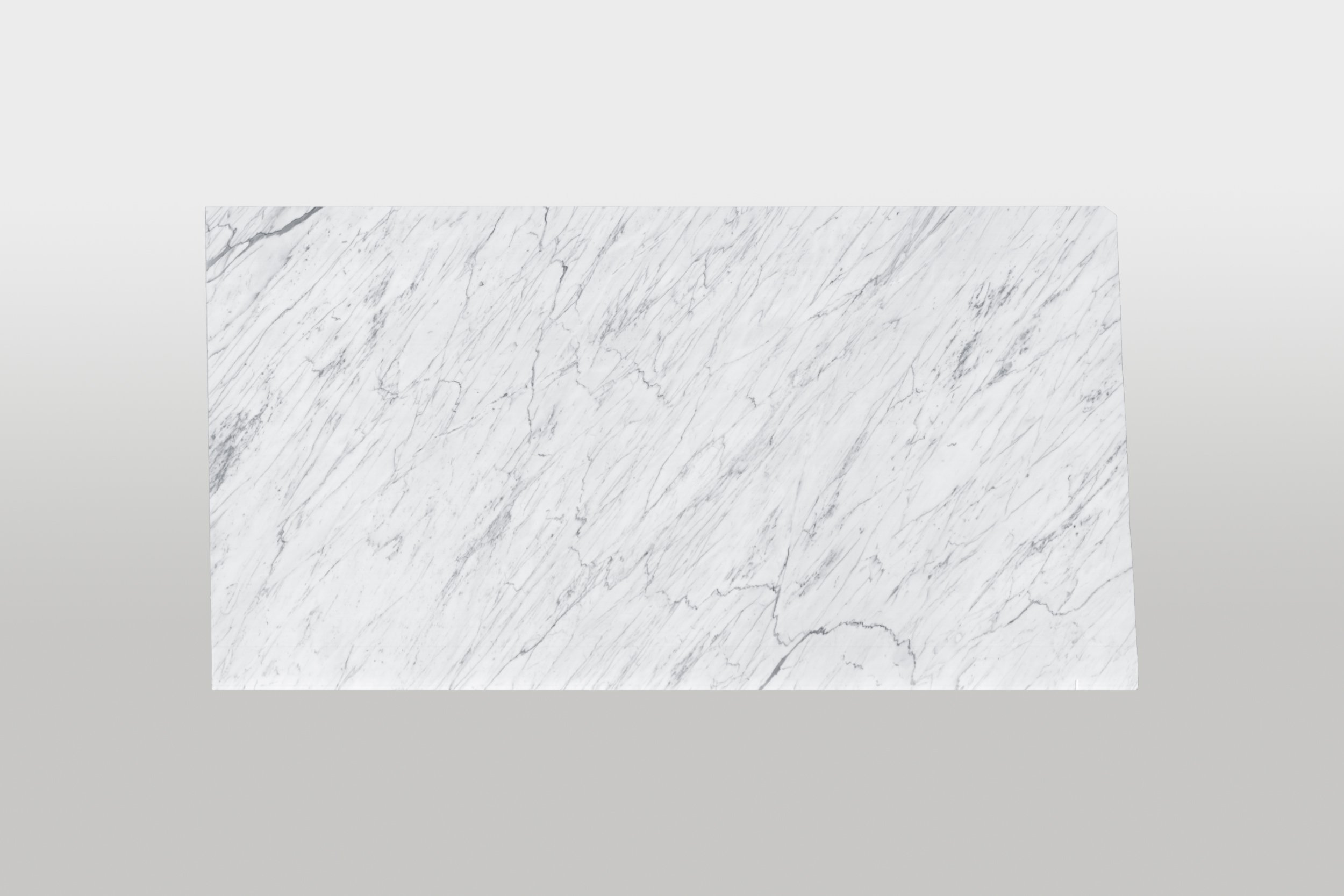 Bianco Venatino