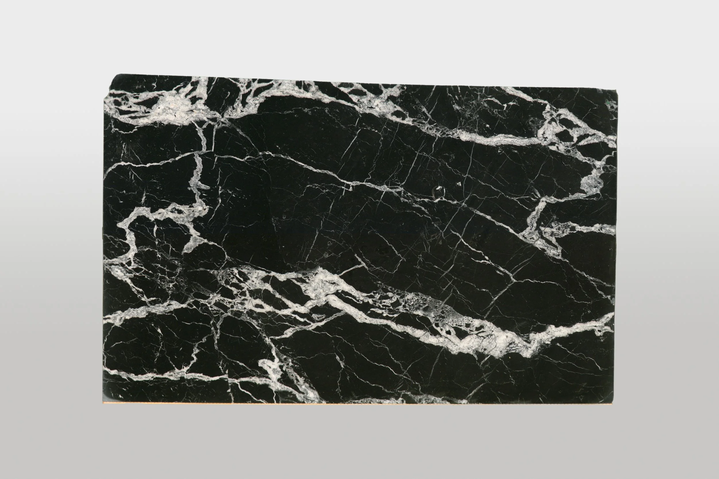 Calacatta Black