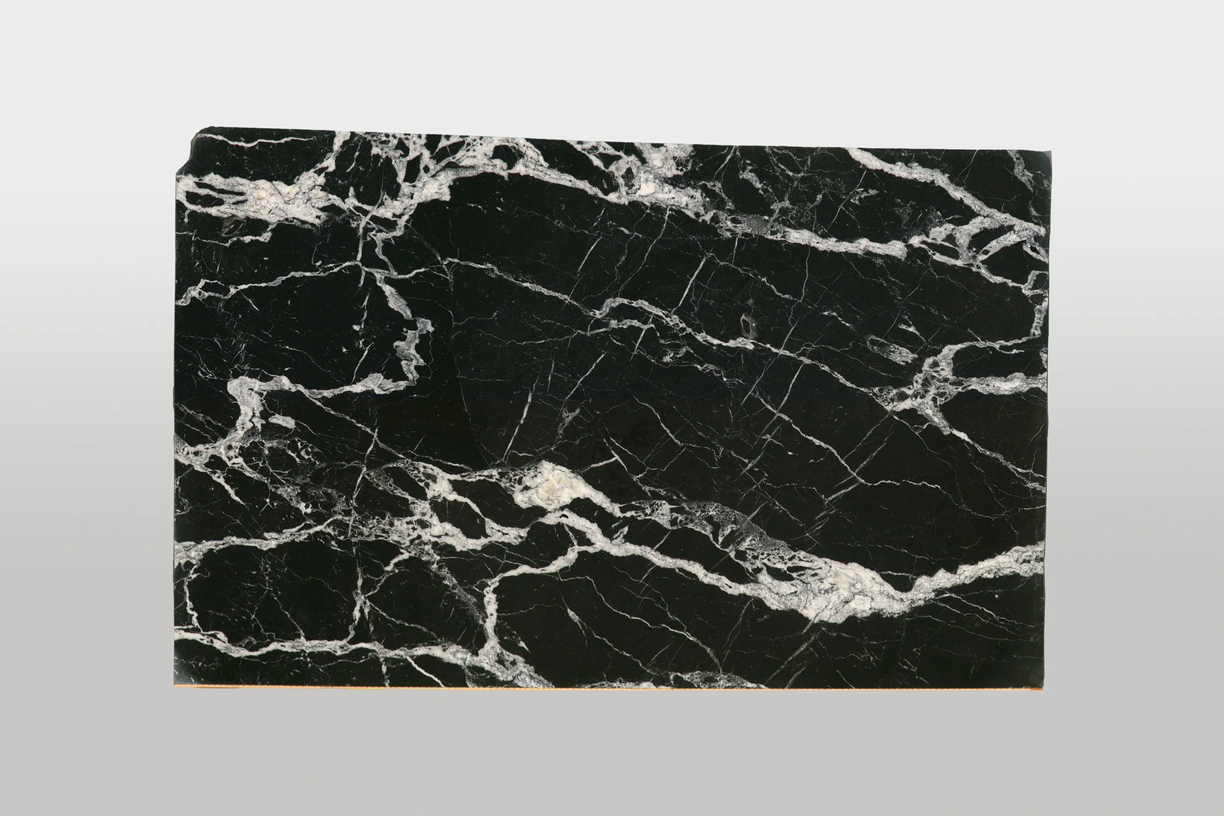 Calacatta Black