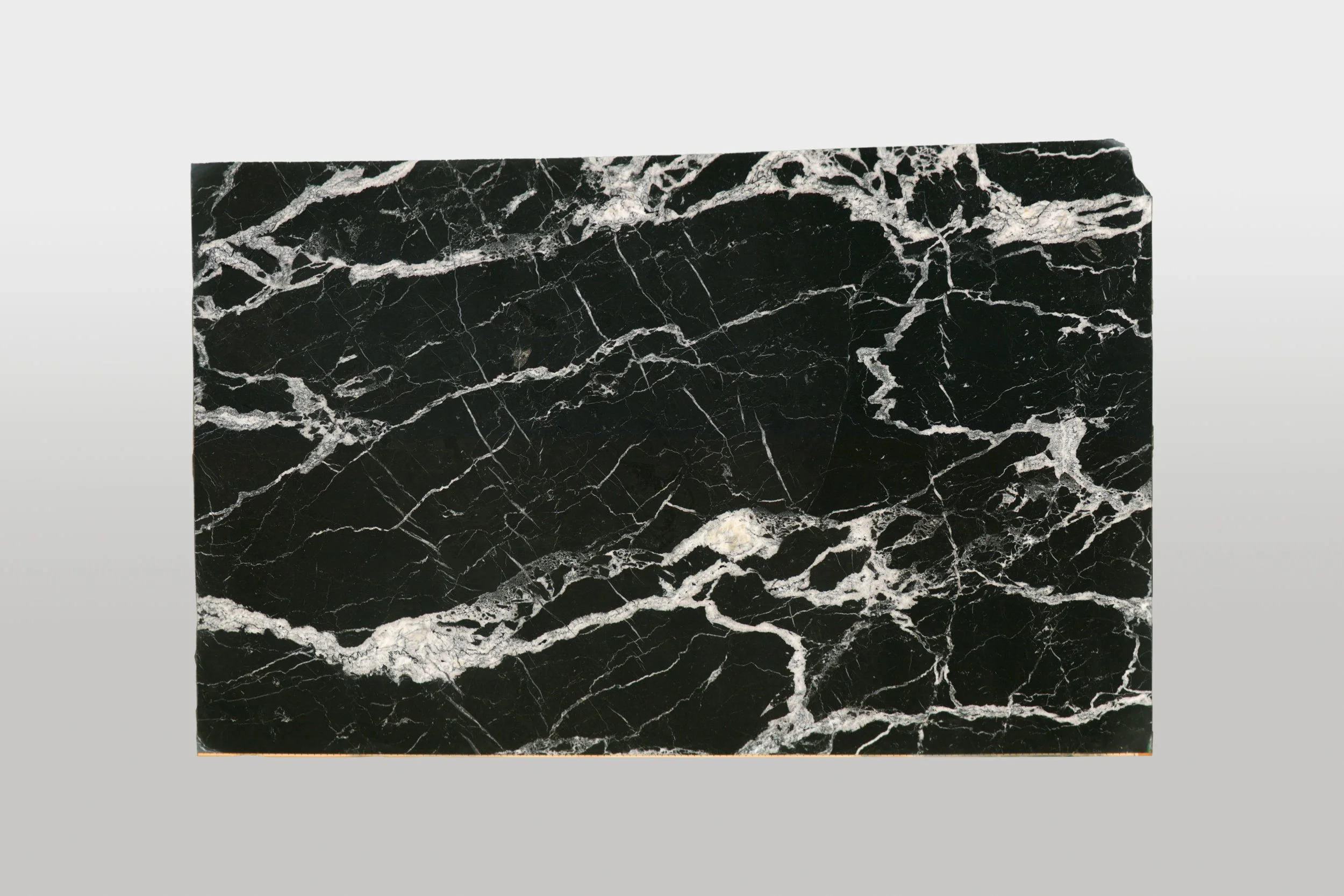 Calacatta Black