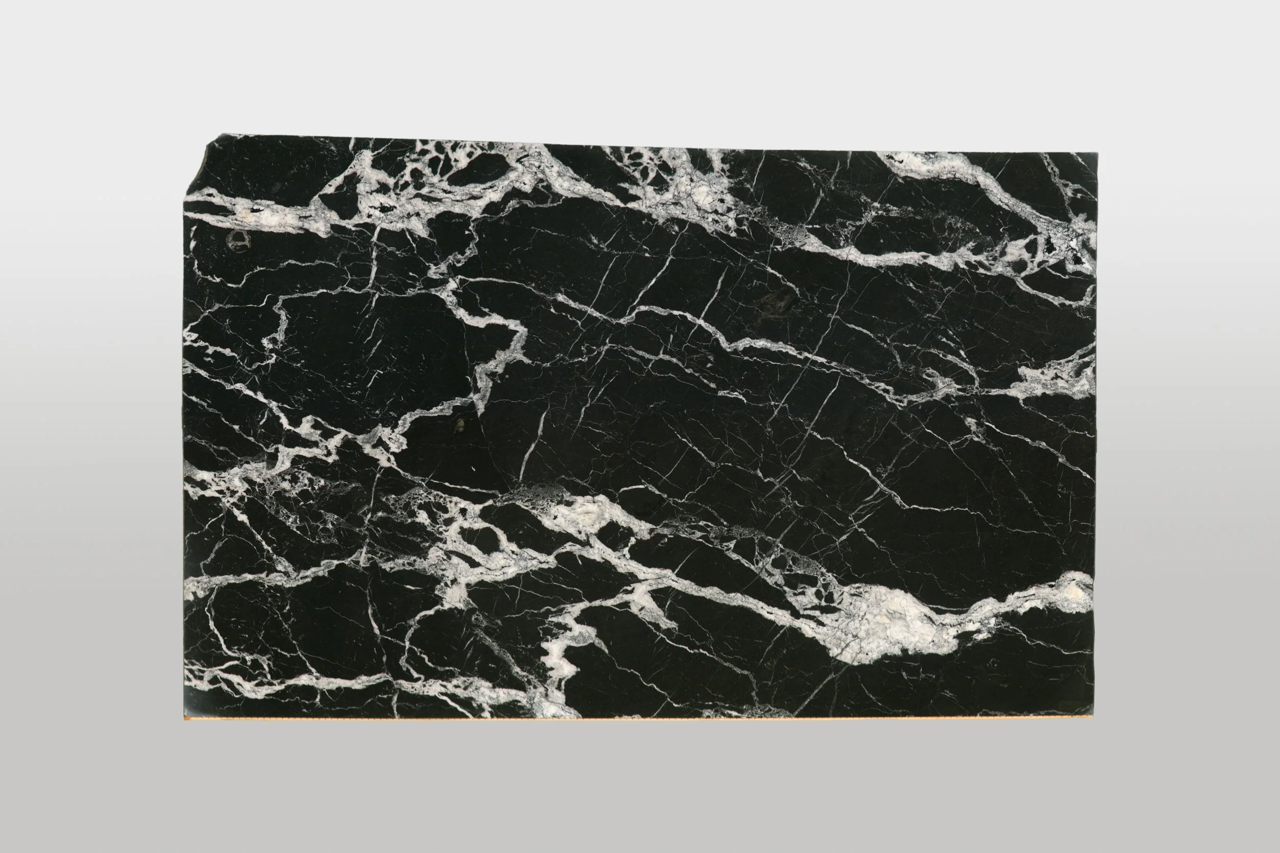 Calacatta Black