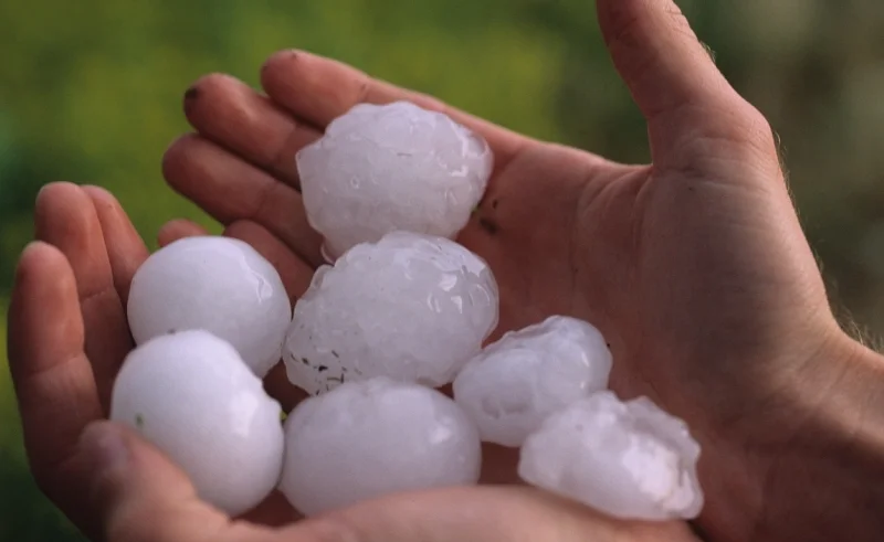Hail-2-RF-CD.jpg