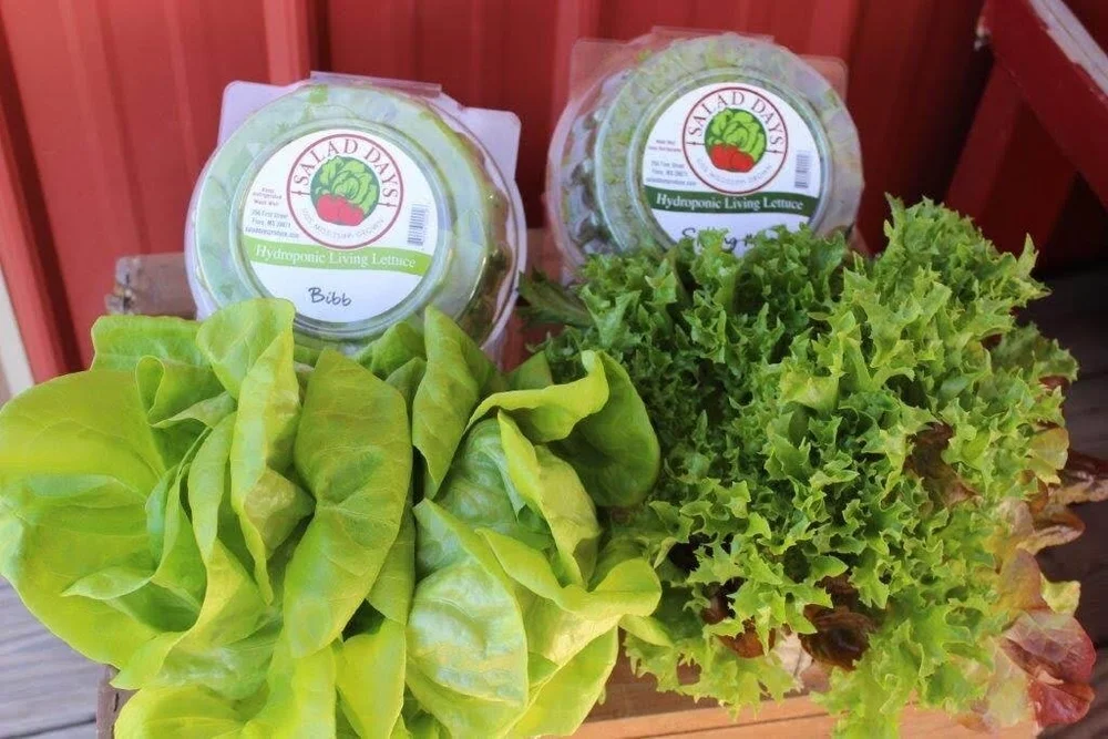 Salad Days Produce
