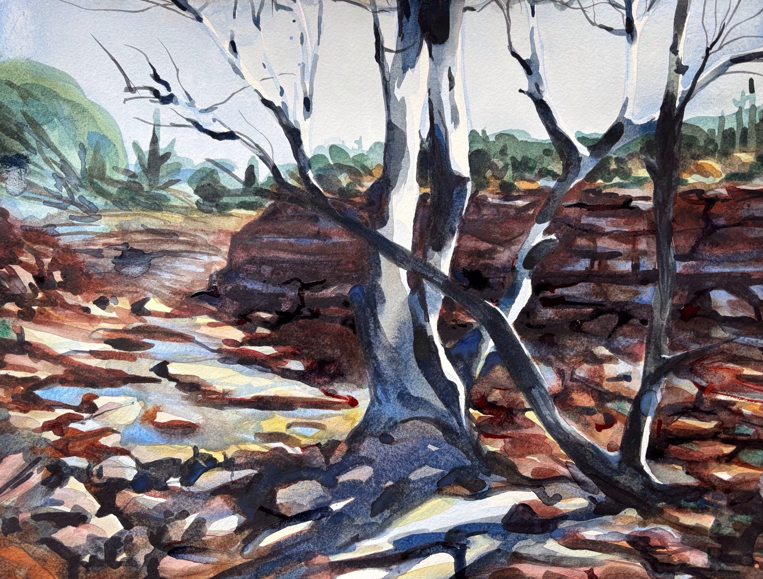 “sabino creek”