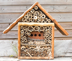 How-to-Create-A-Bee-Friendly-Garden-Bamboo-Home.gif