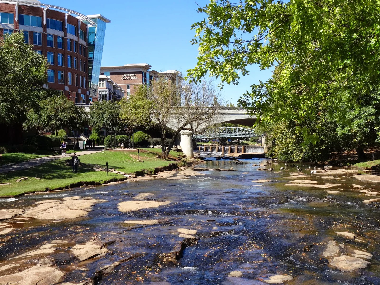 Falls Park 10th anniversary Reedy river.jpg