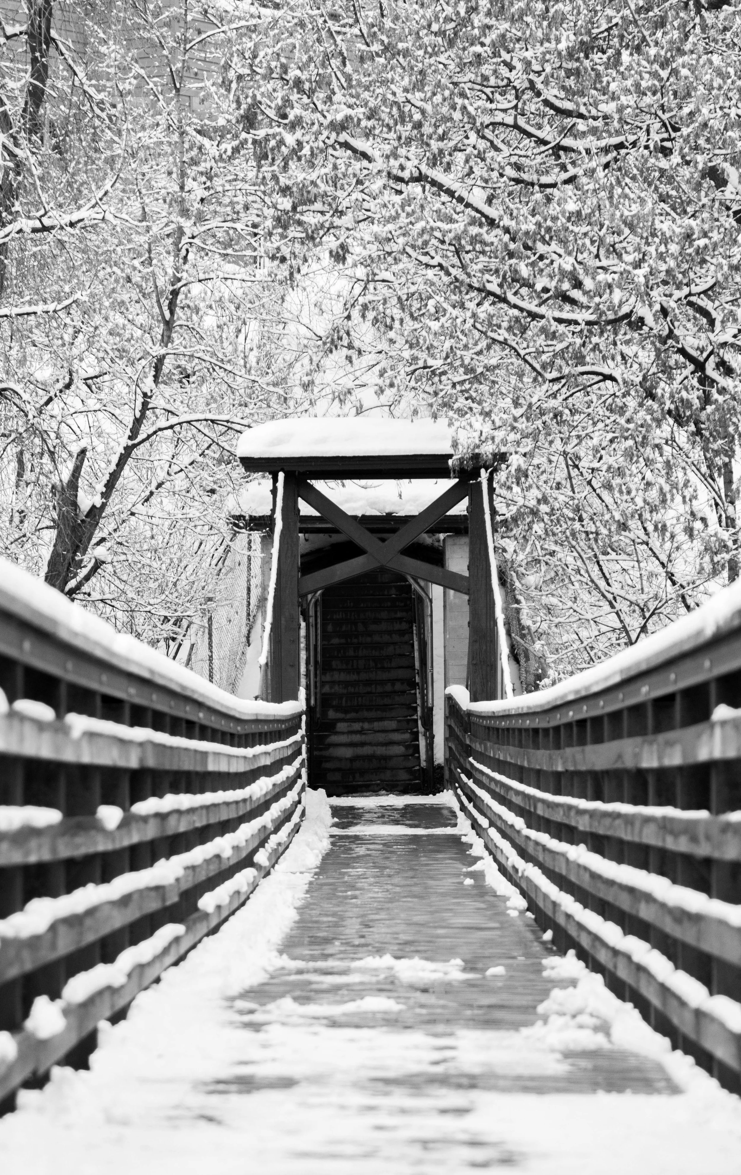 _MG_5365.jpg