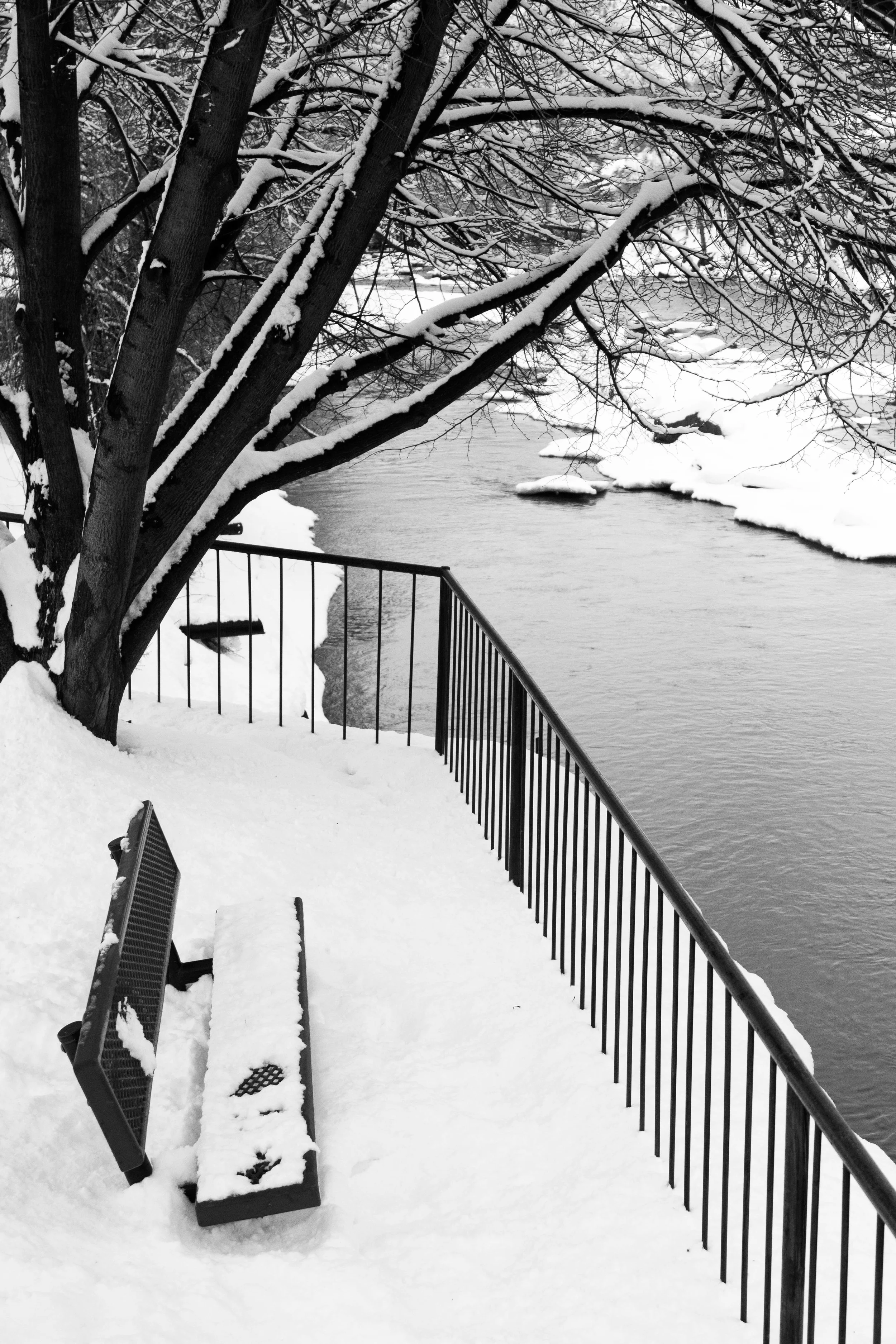 _MG_5424.jpg