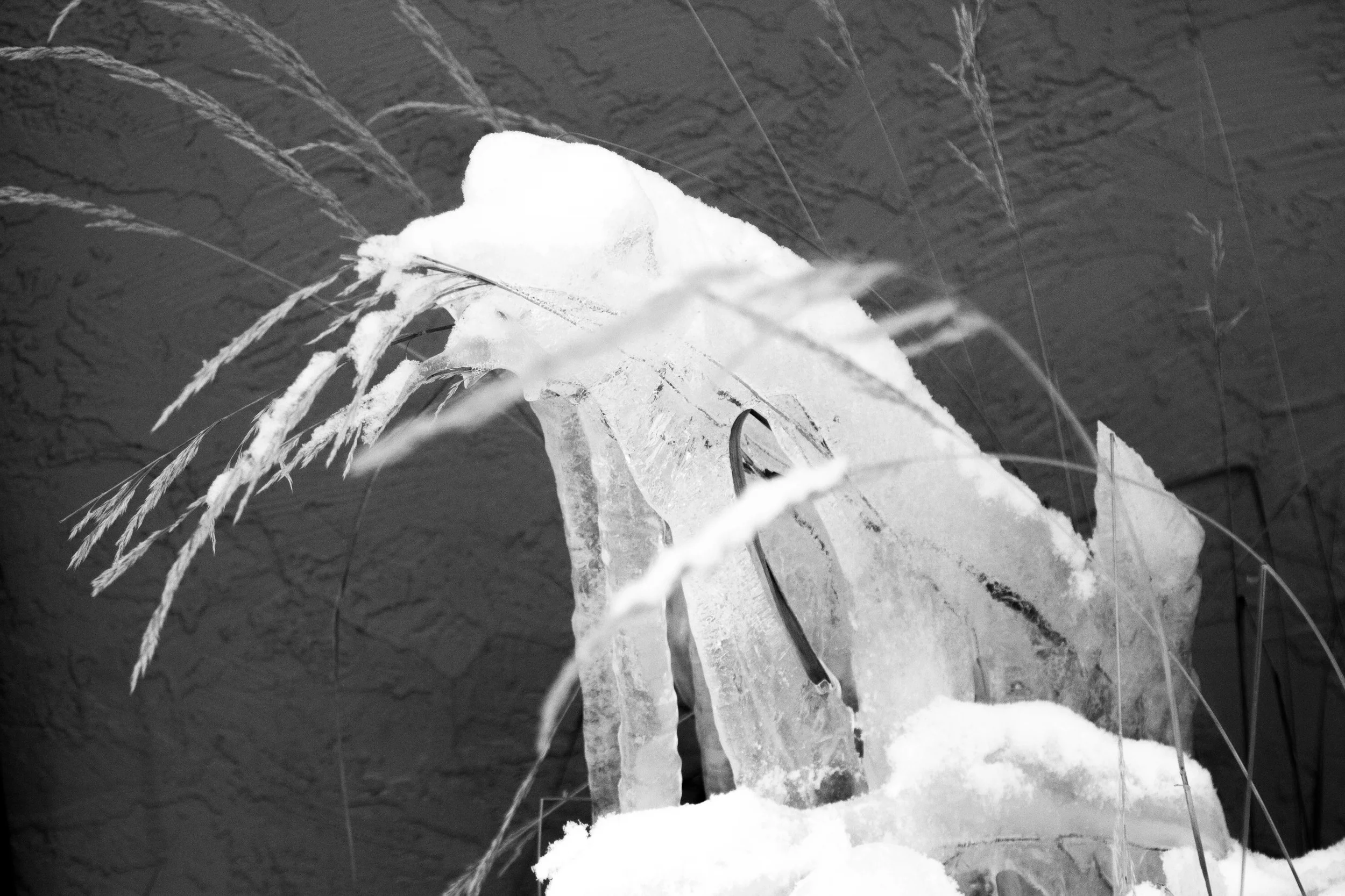 _MG_5482.jpg
