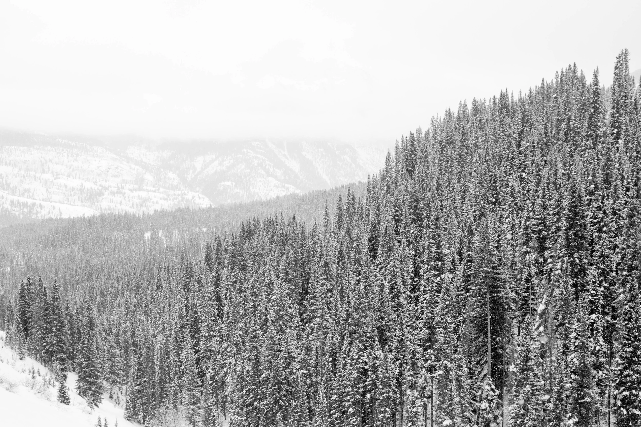 _MG_5561.jpg