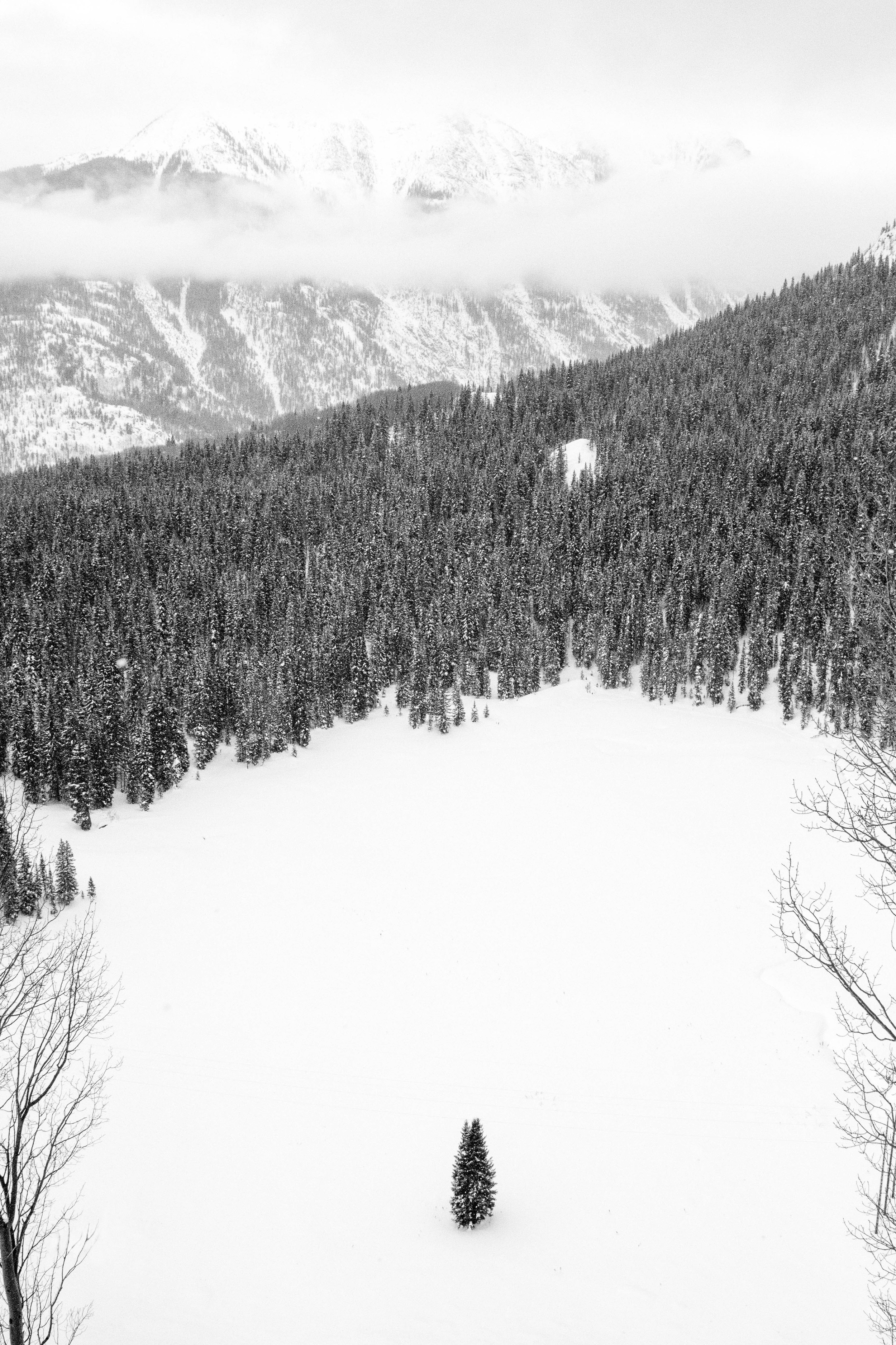 _MG_5678.jpg