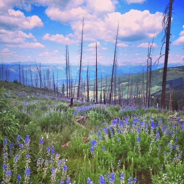 Colorado.jpg