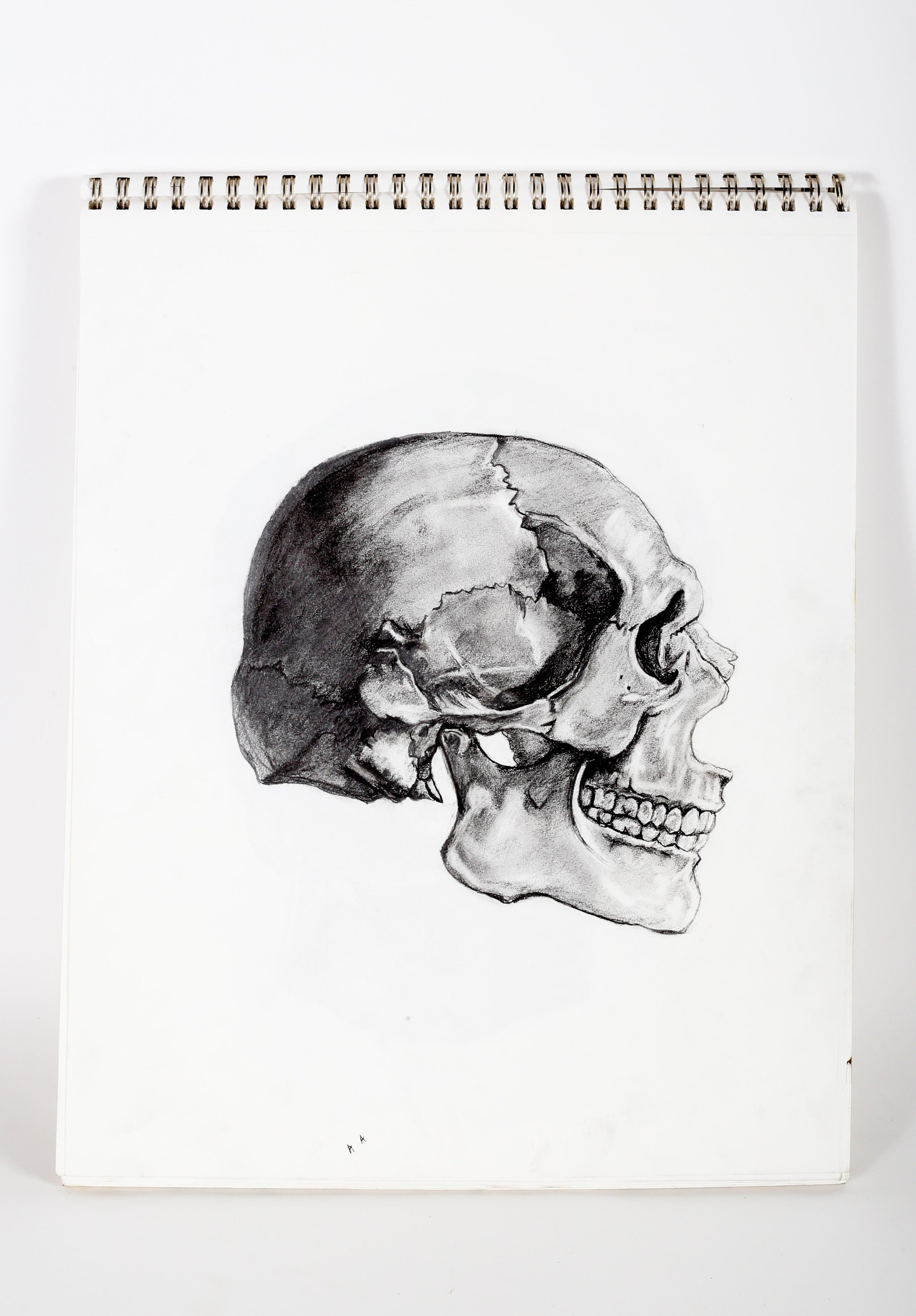 untitled-0966.jpg
