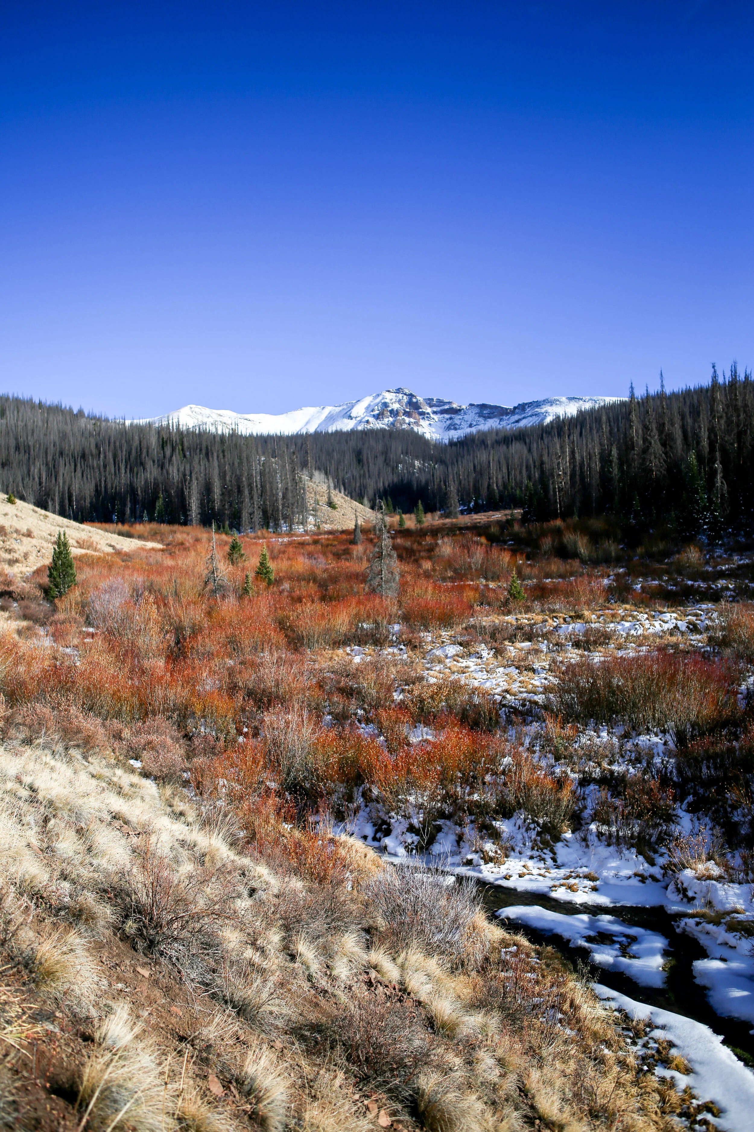 IMG_9576.jpg