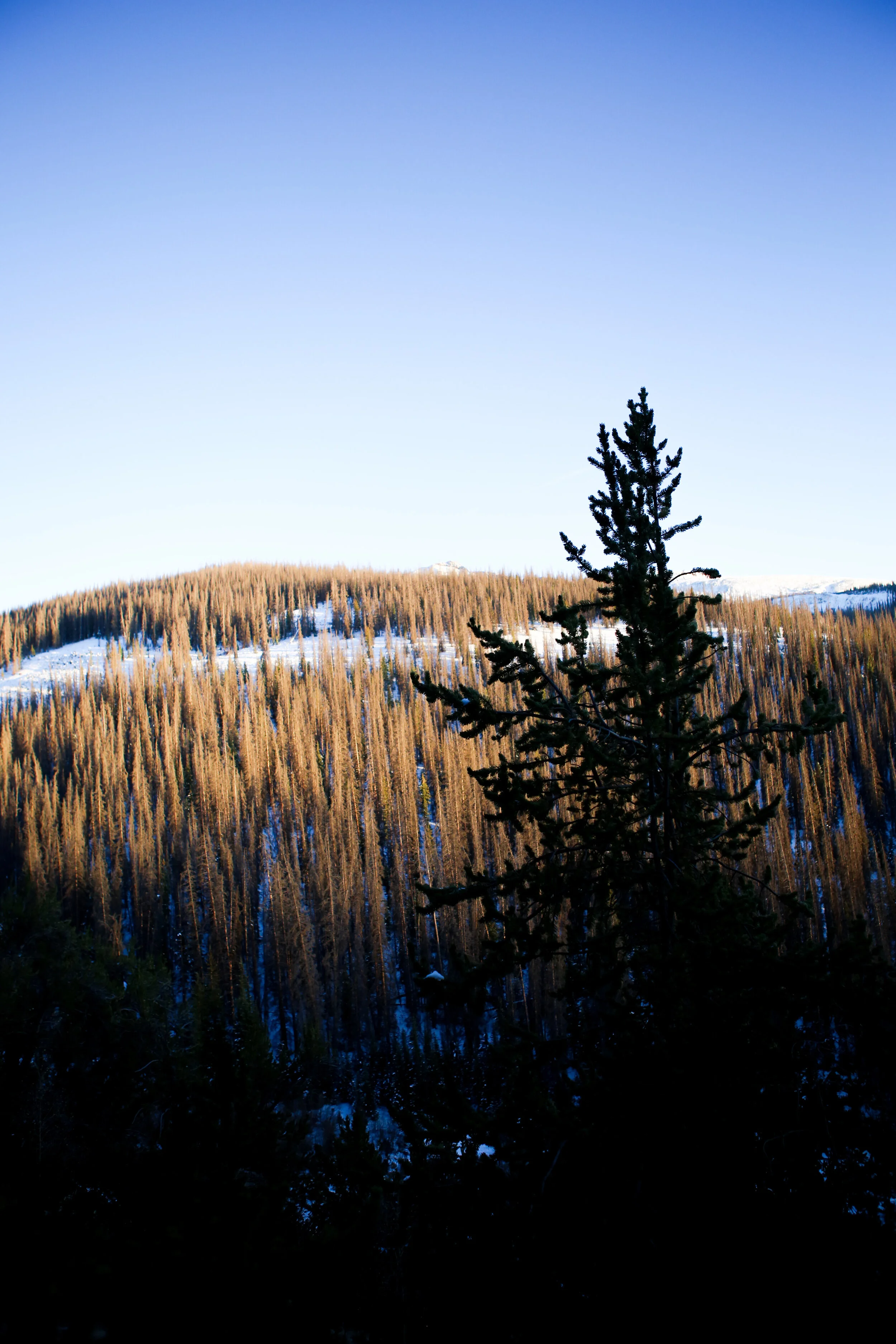 IMG_9748.jpg