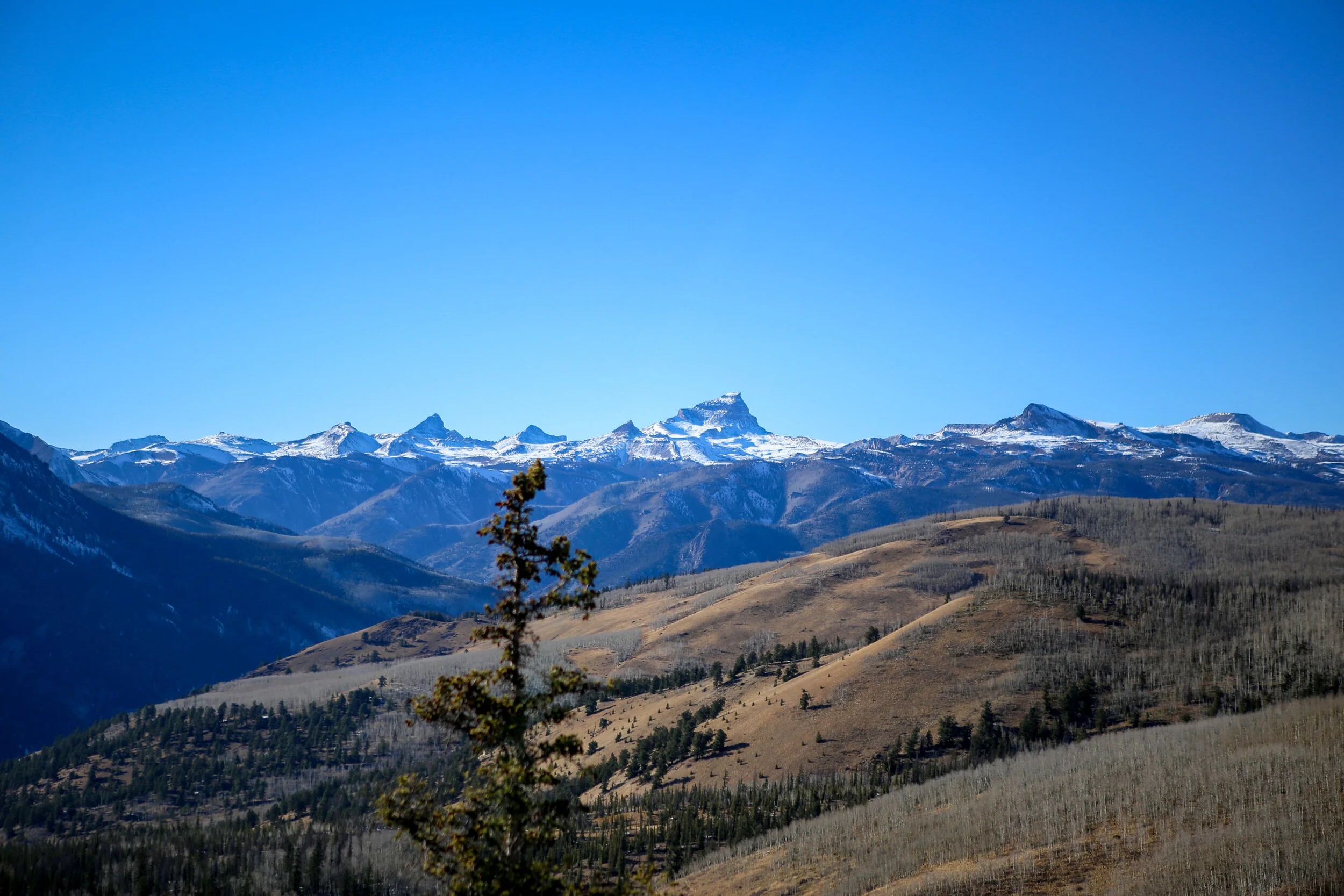 IMG_9823.jpg