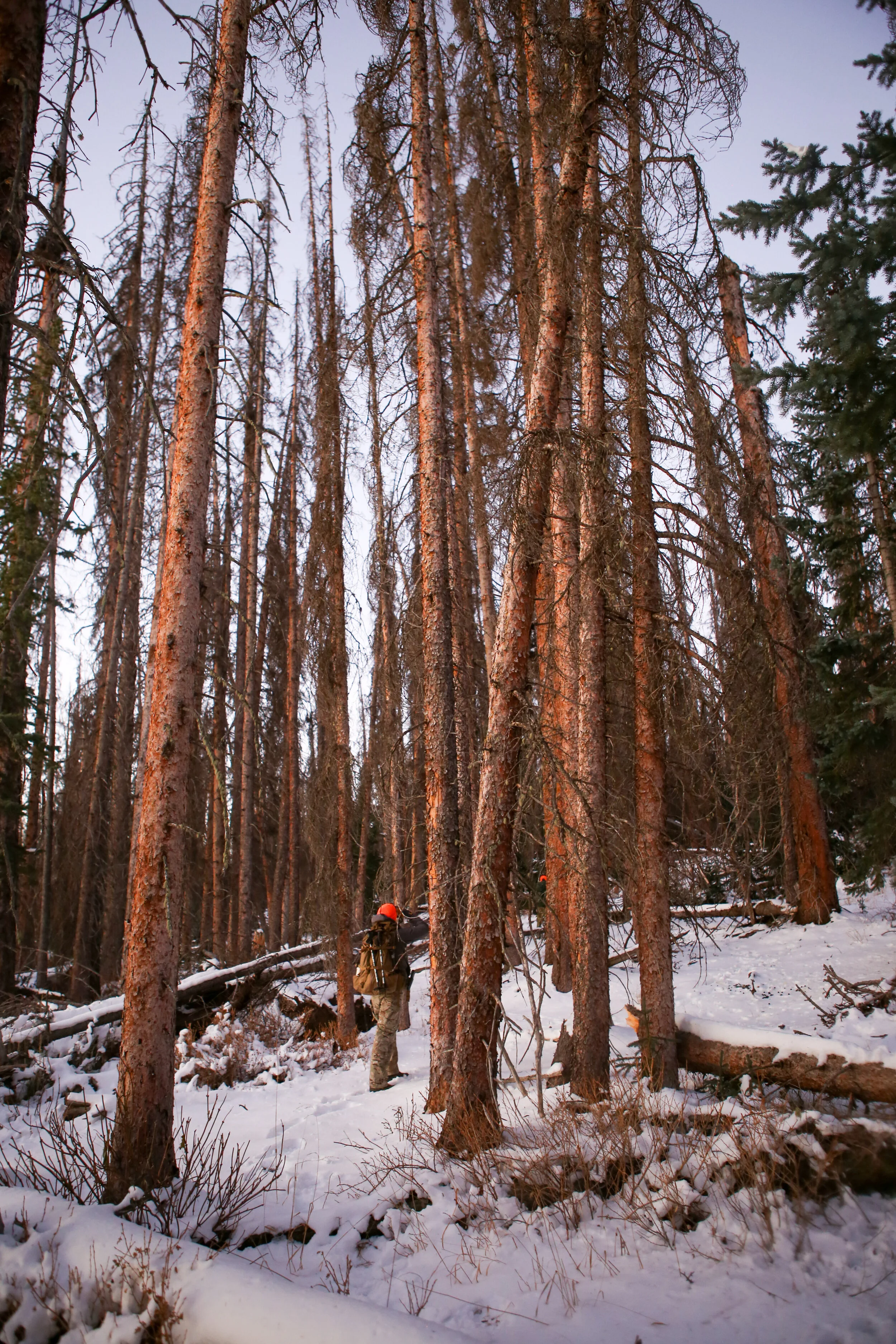 IMG_9830.jpg