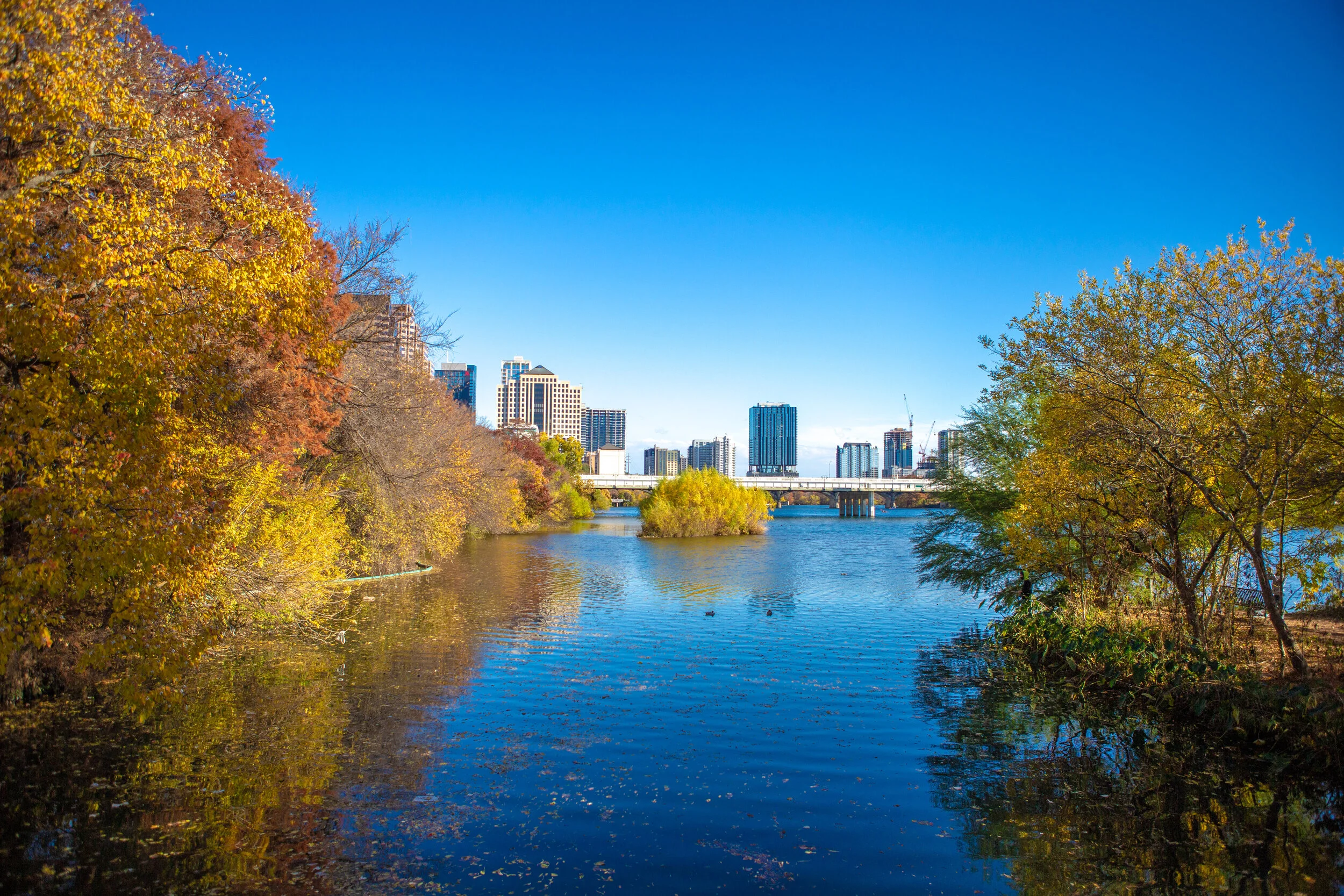 austin-12.jpg