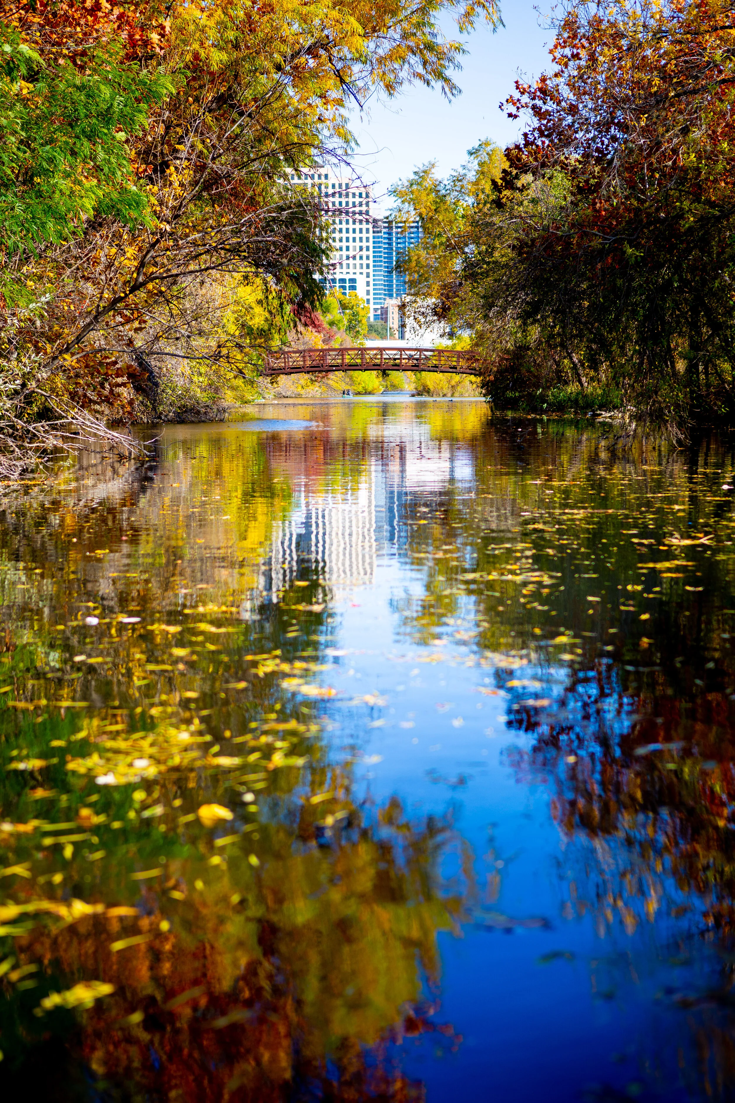 austin-9.jpg