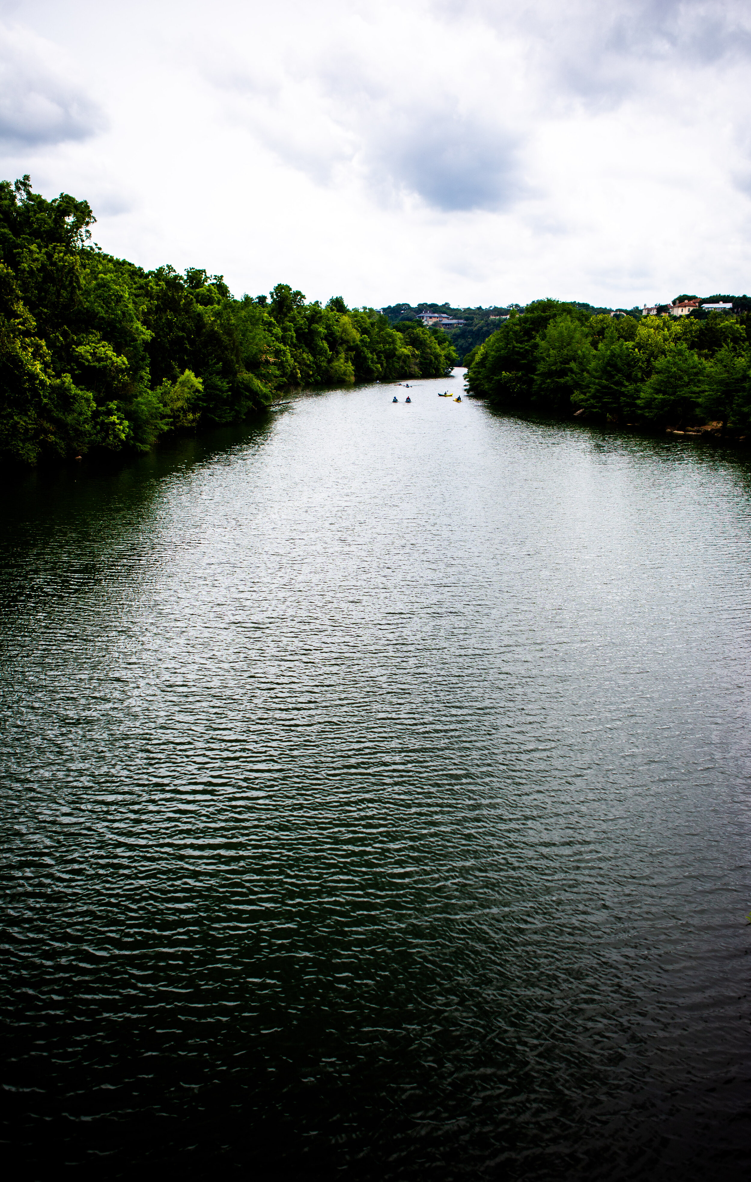 redbud-7.jpg