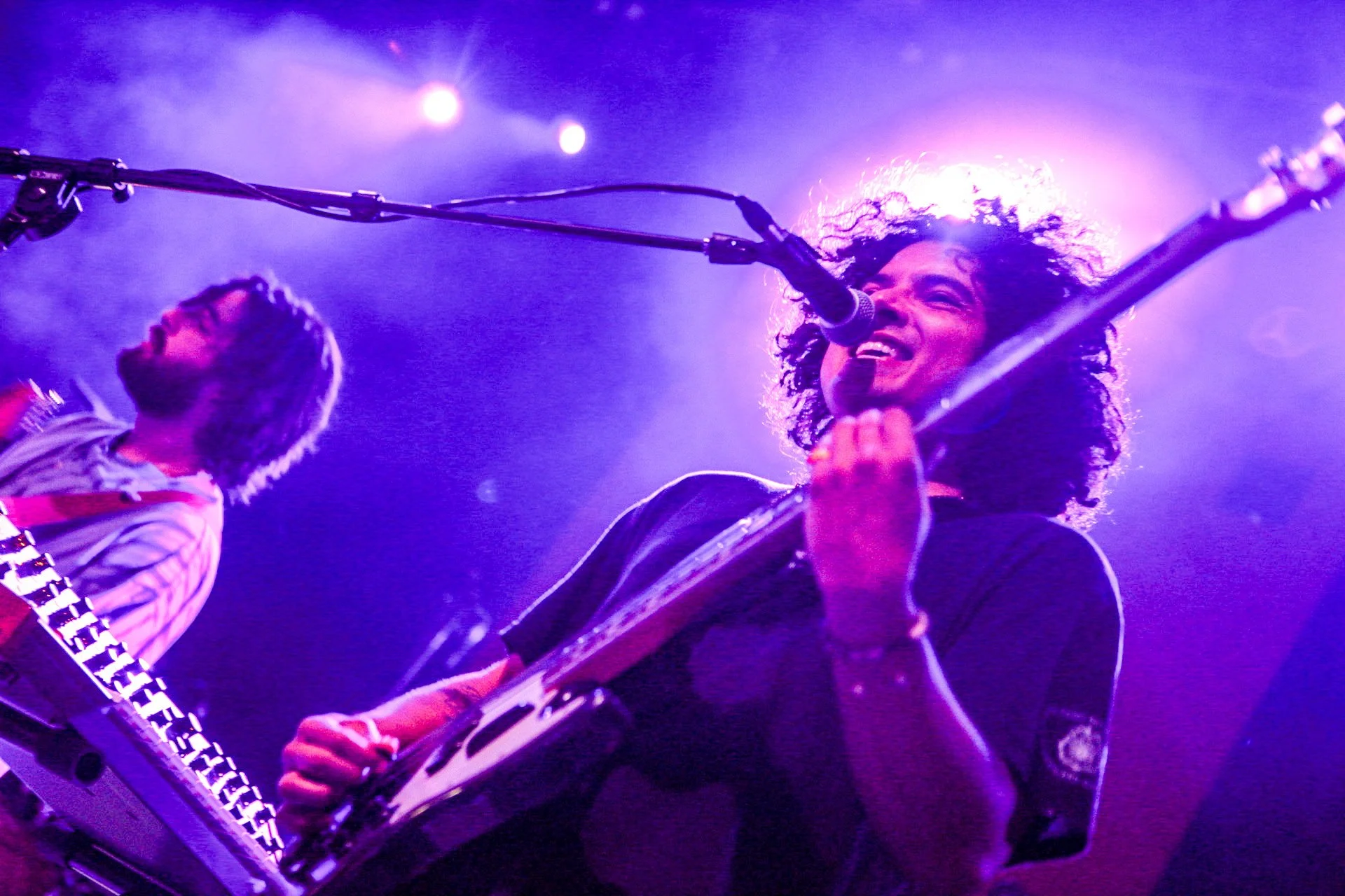 Wombats-7.jpg