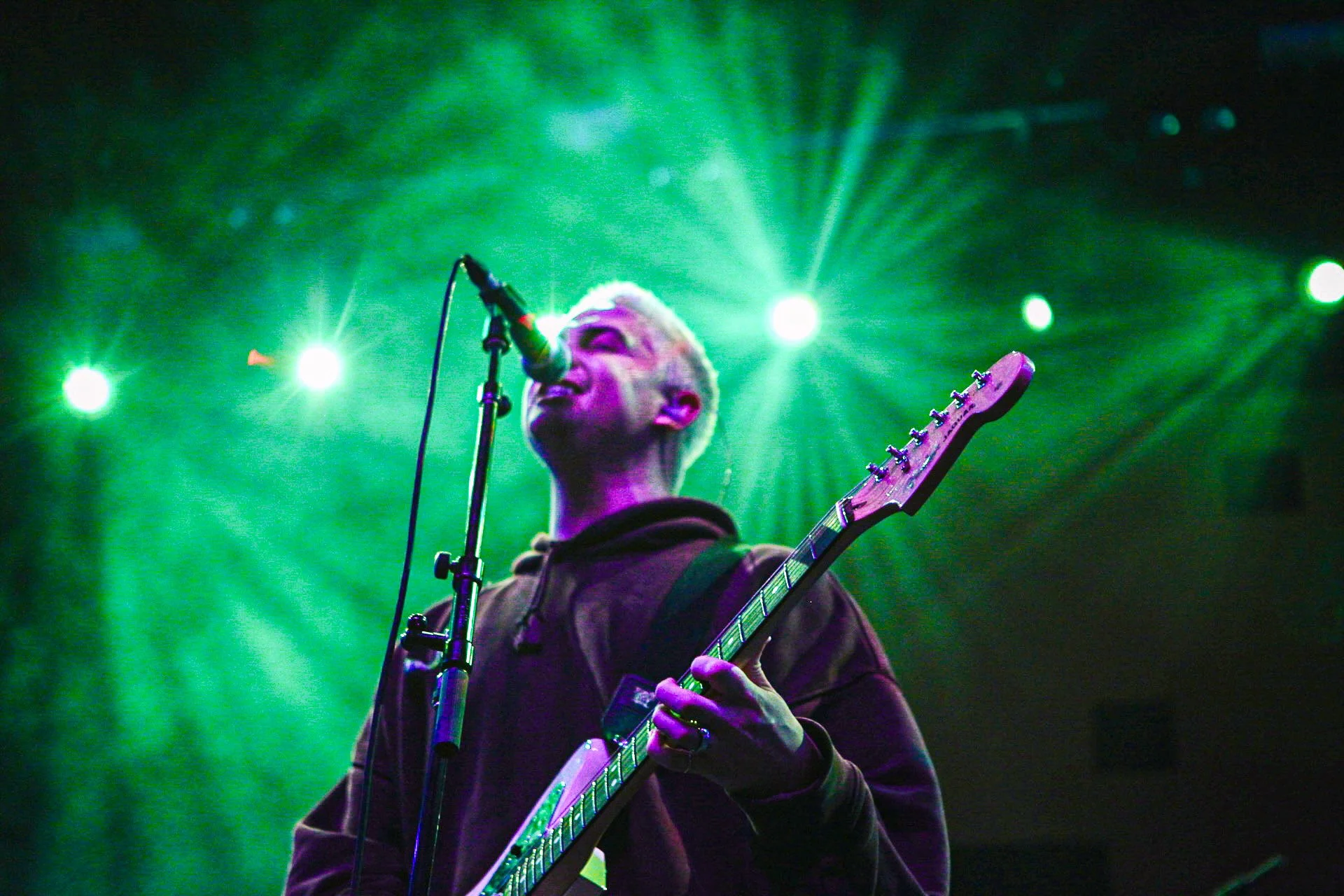 Wombats-11.jpg