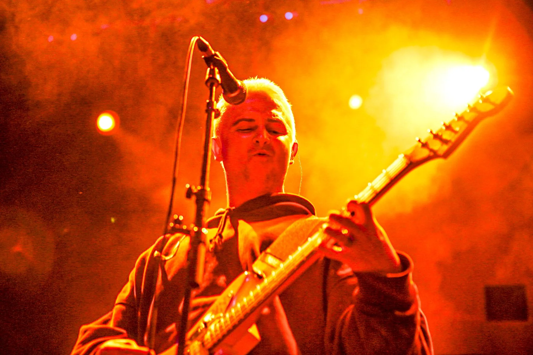 Wombats-12.jpg