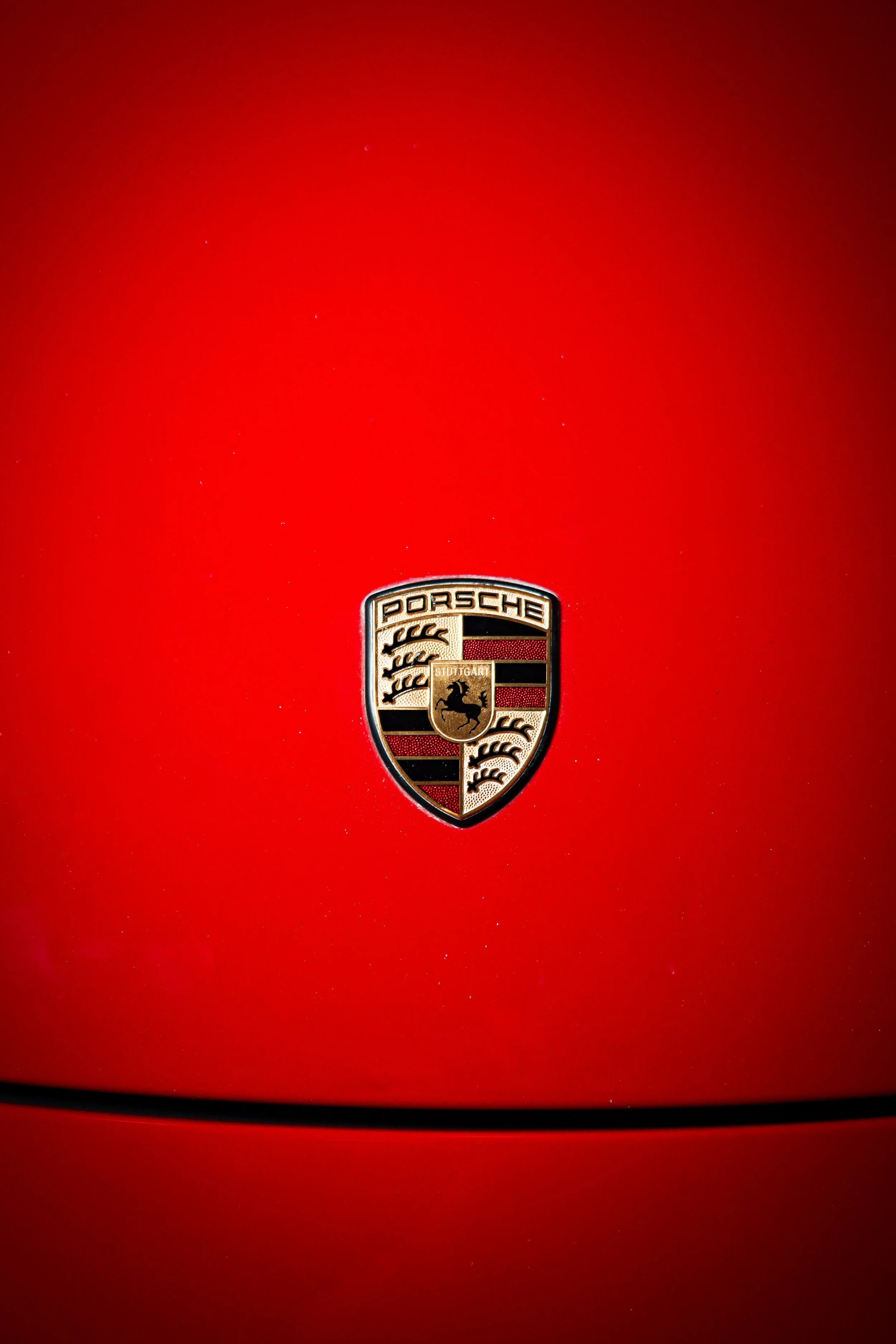 LogoIcon.jpg