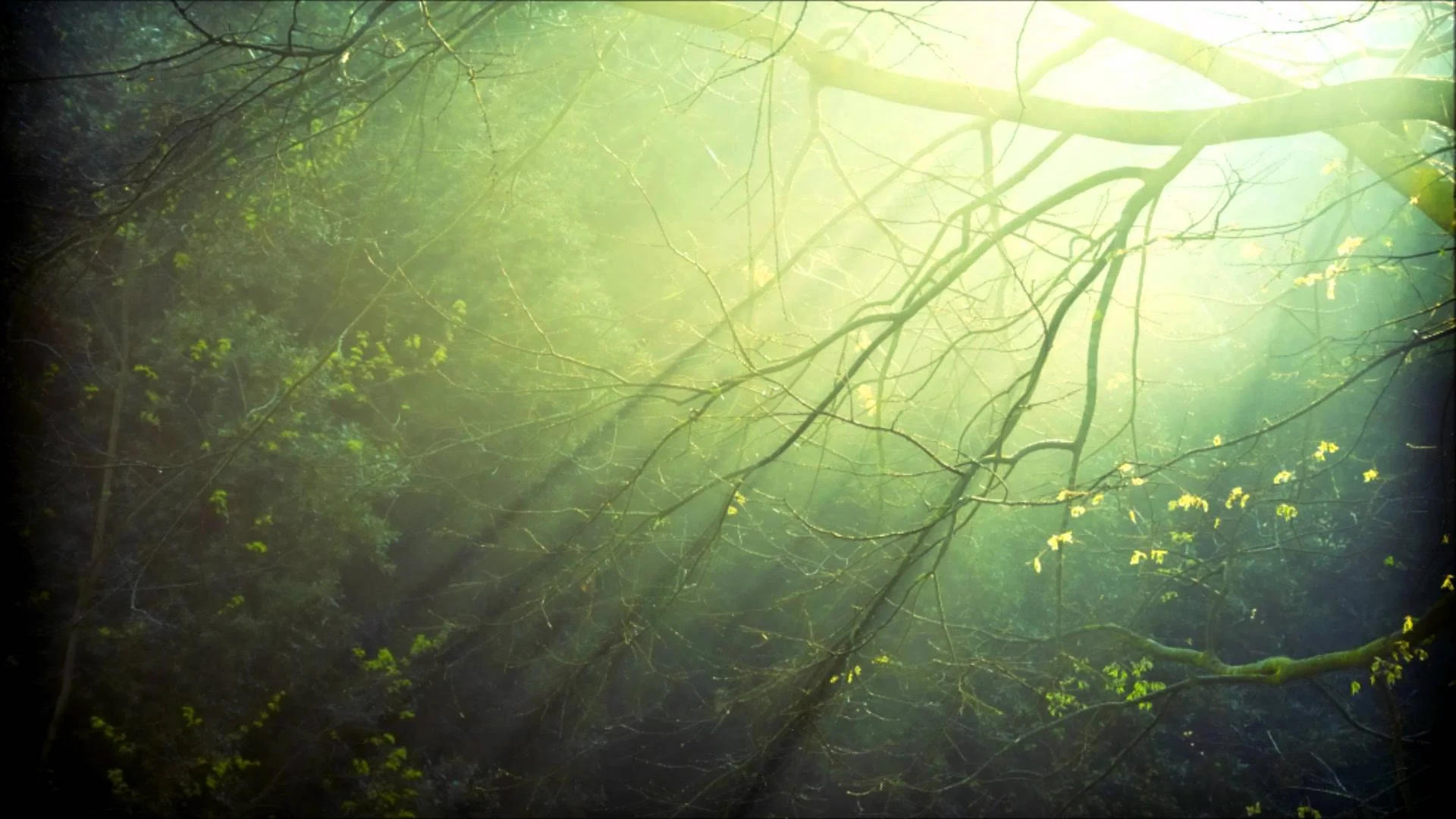 Engaged spiritual practice