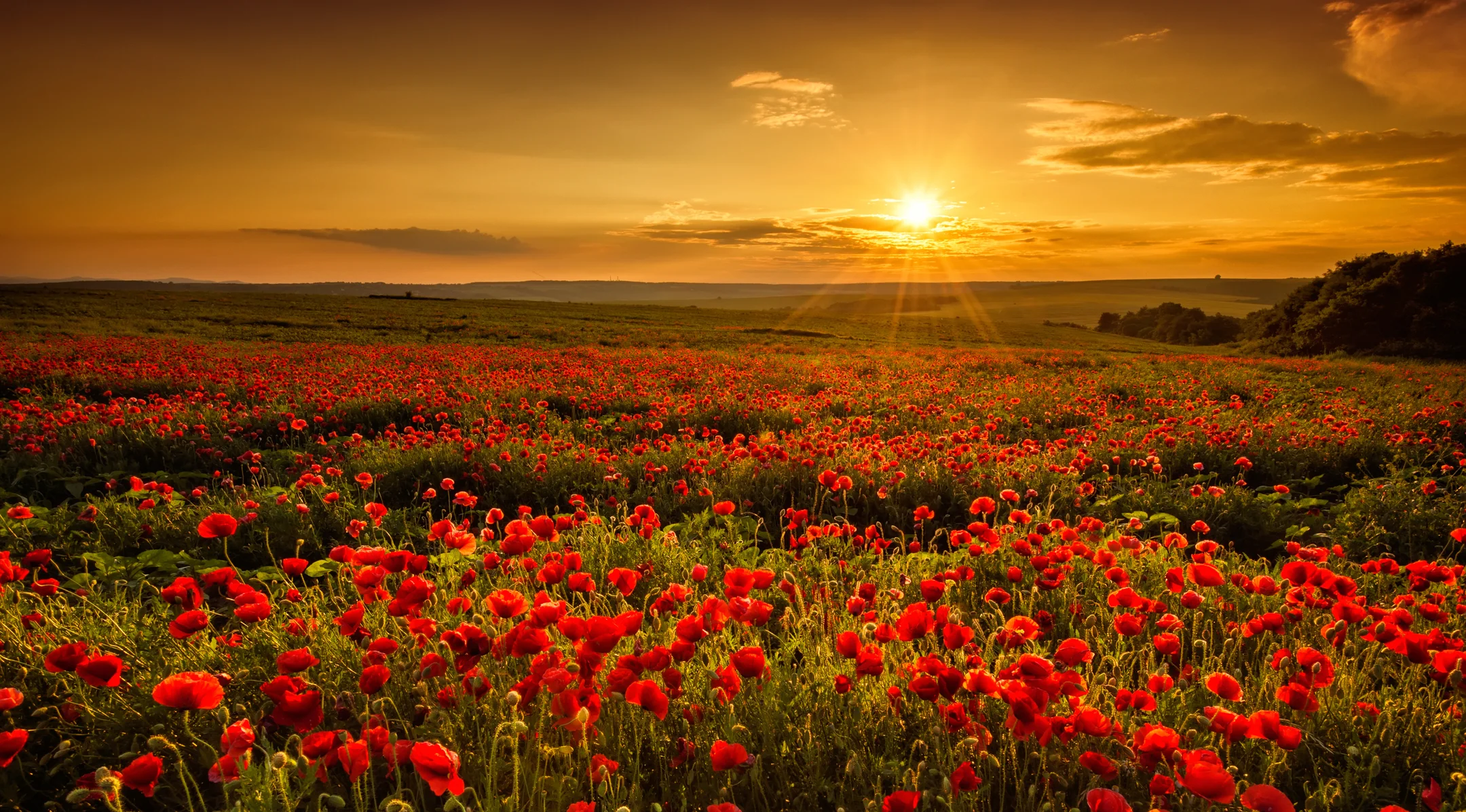 View: how we think the world works