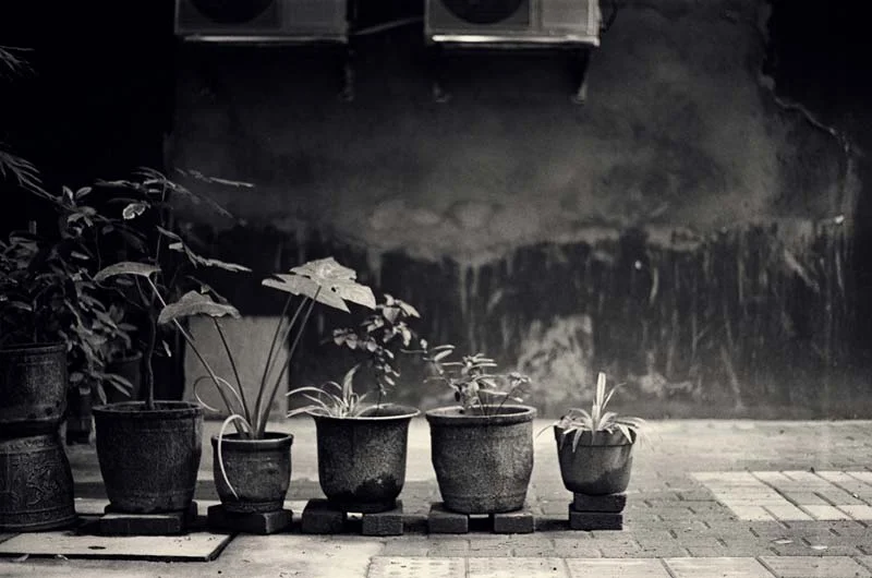 Take the backward step