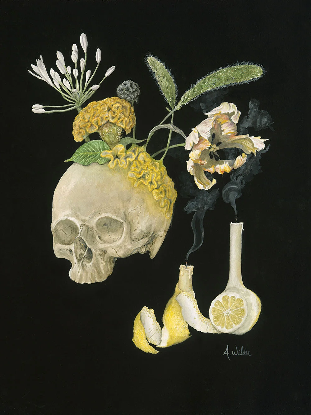 02_Wilder_DeathExtendsAHandToLife;Cerebral.jpg
