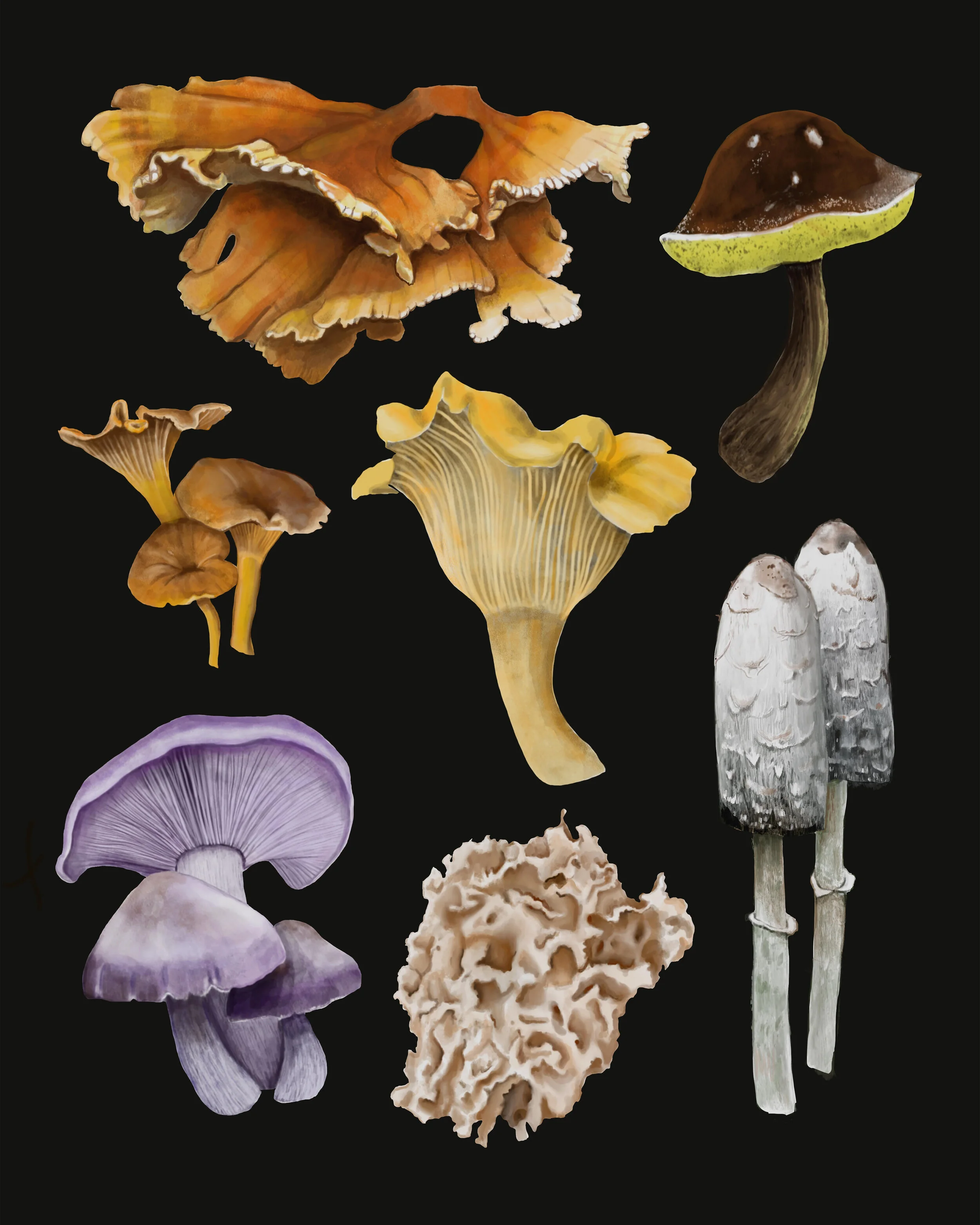 Forage
