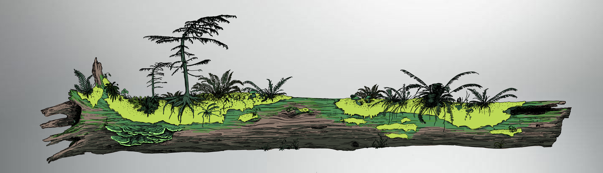 NurseLogGlassPainting 2 copy.png