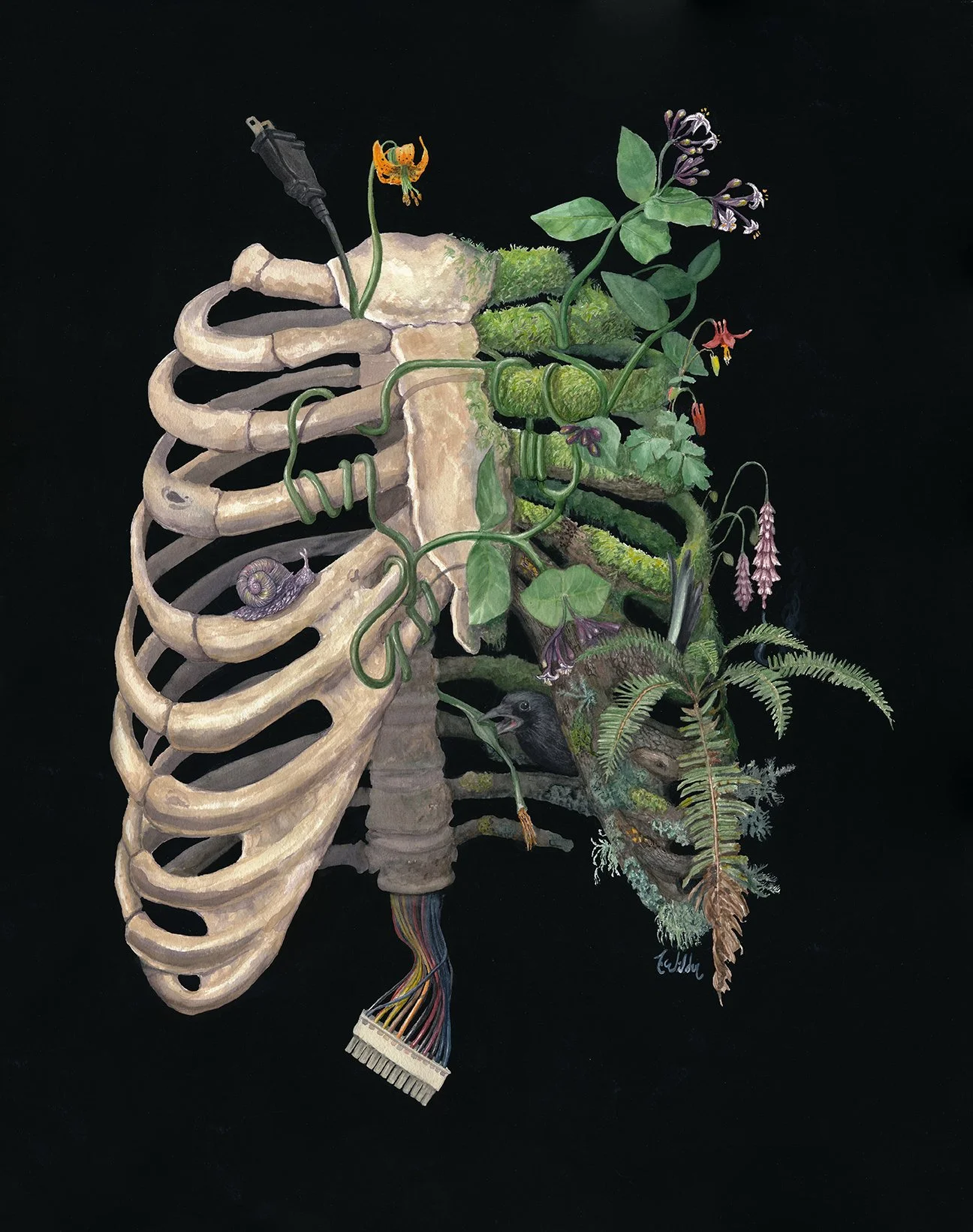 WEB_Reboot_WatercolorBlackGouache_3000_18x24.jpg