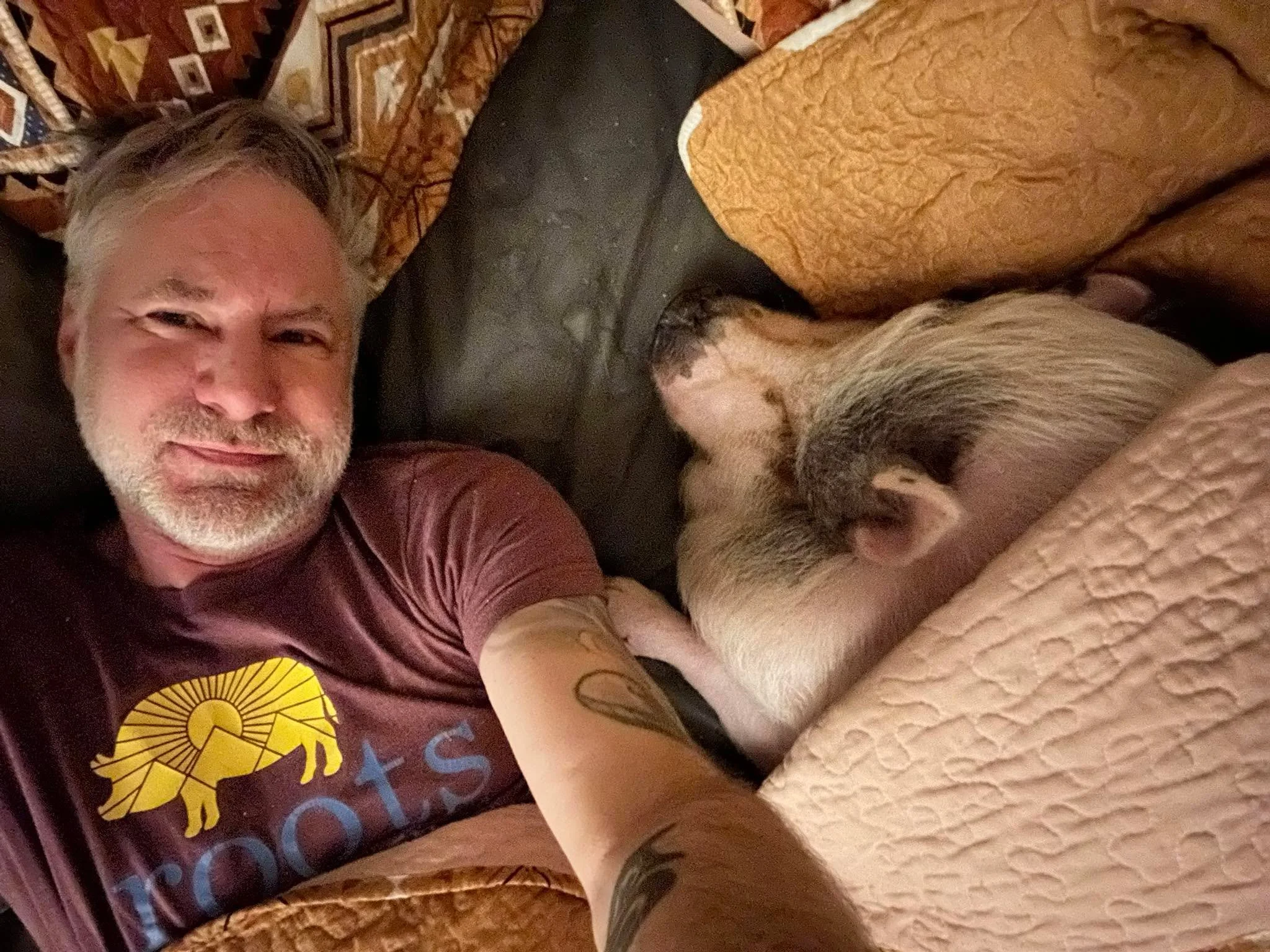 A warm pig on a heated mattress pad!