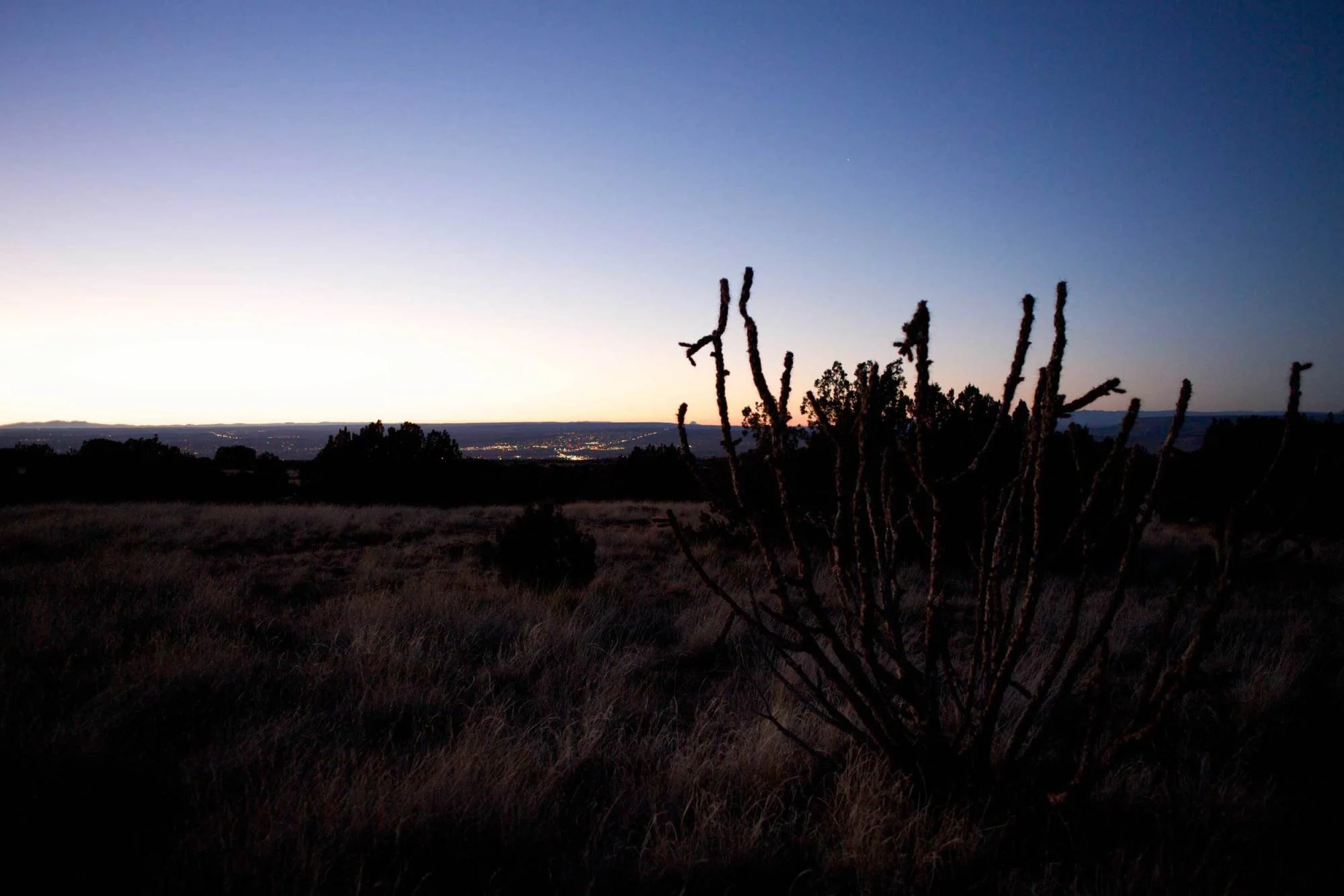 Dusk or dawn sky over open field with a cactus in the foreground and city lights in the distance.