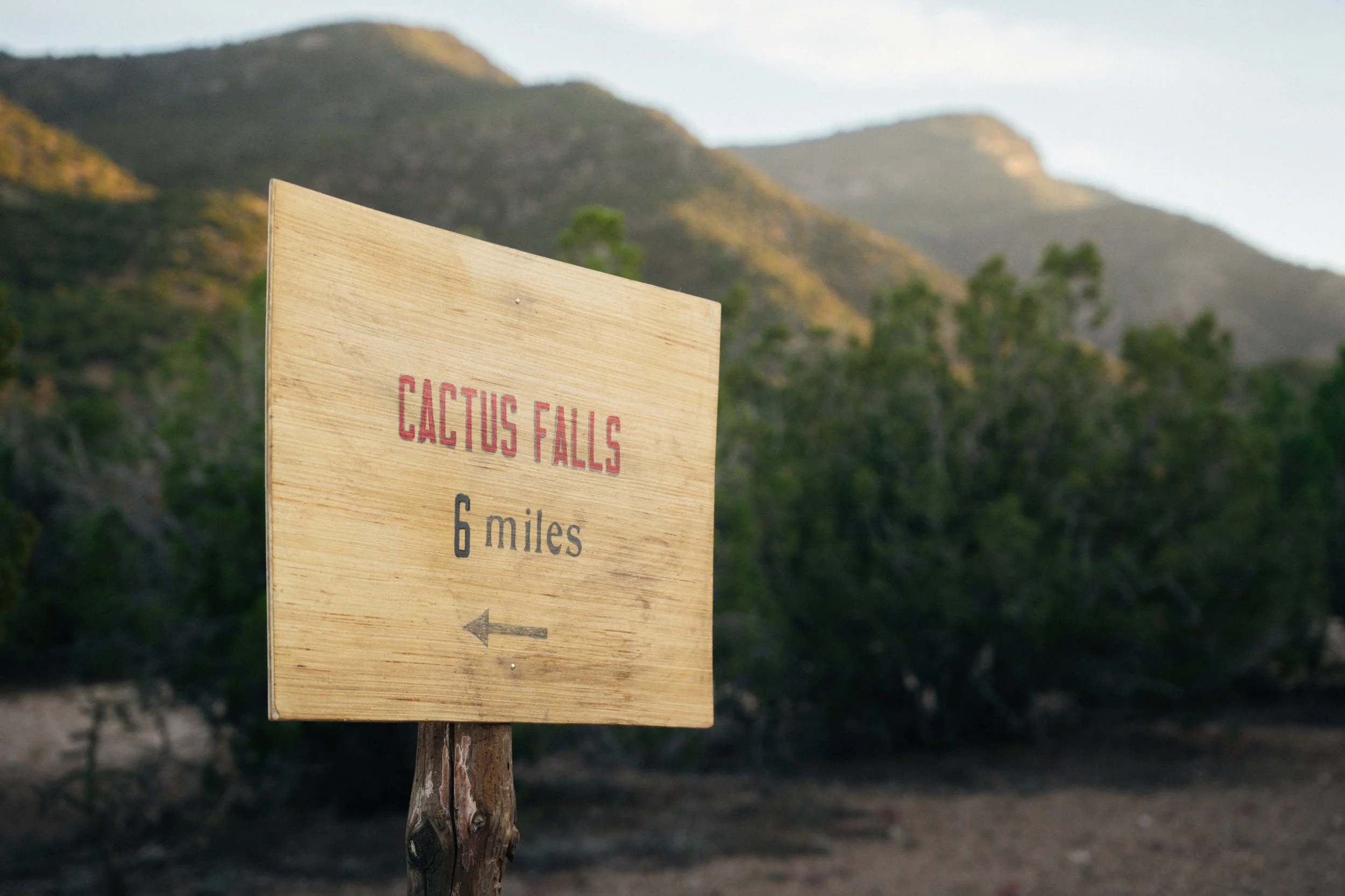 CactusClub-085.jpg