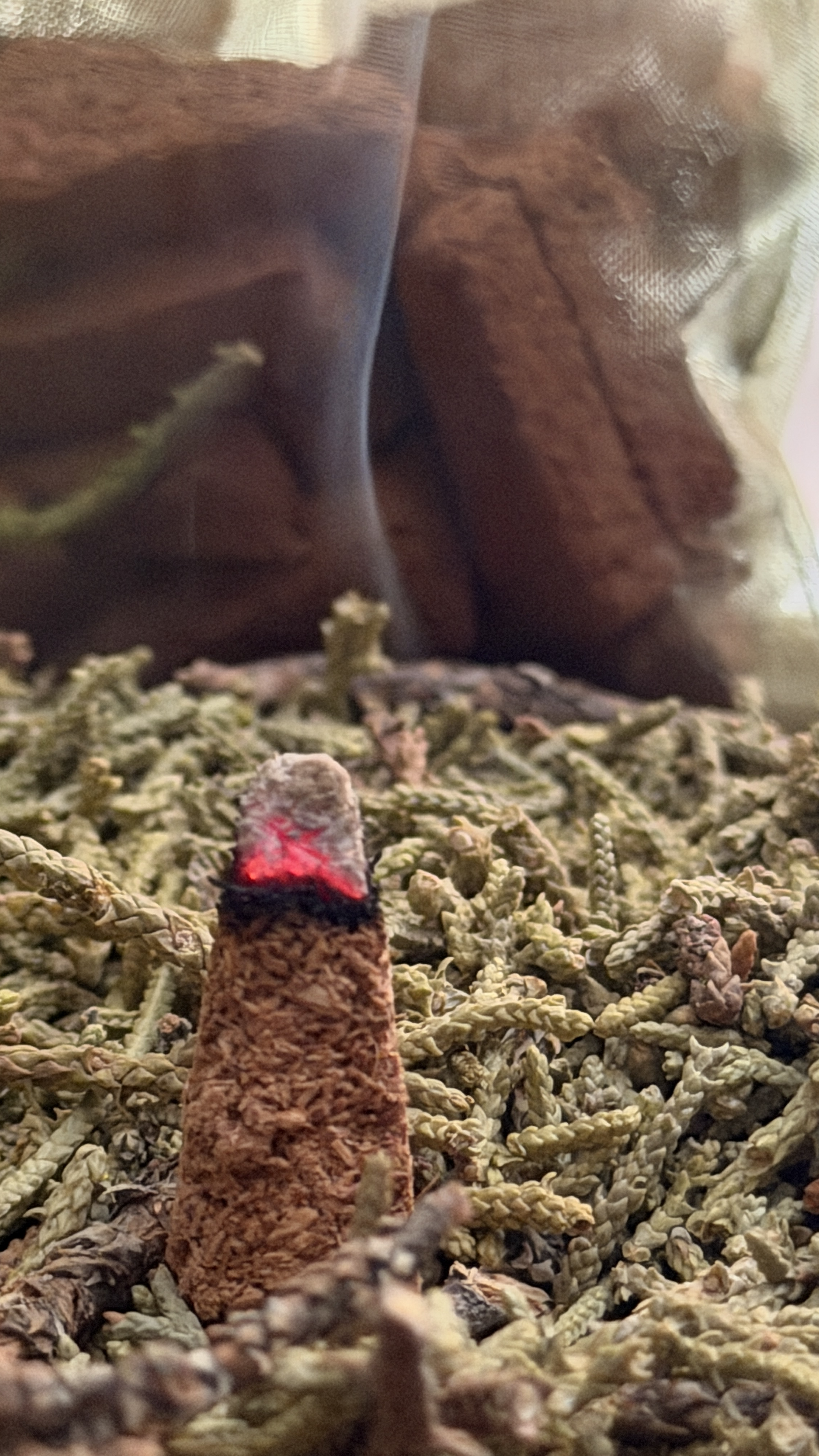 Close-up image of a lit incense stick with red glowing tip among dried herbs or plant material.