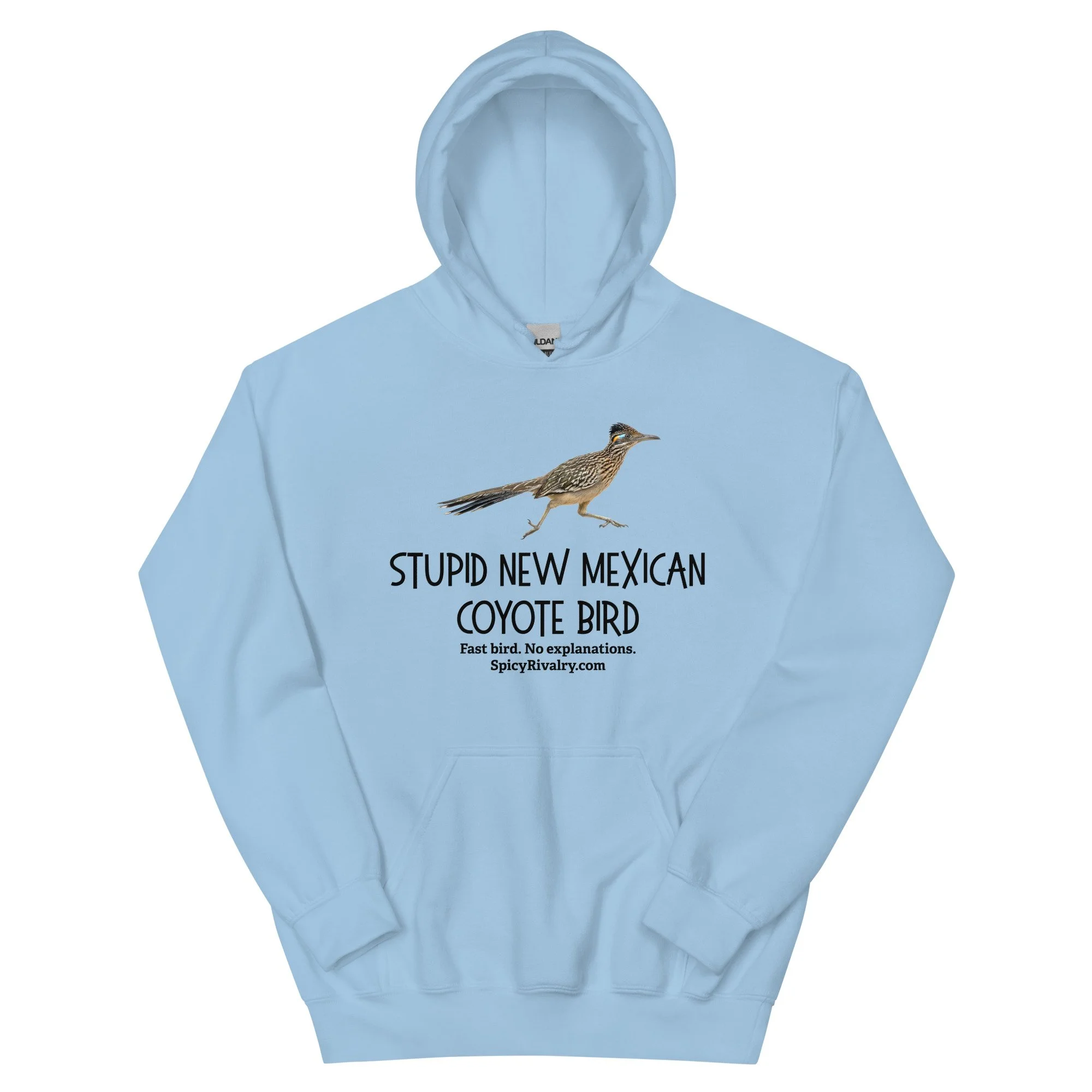 unisex-heavy-blend-hoodie-light-blue-front-69791819f0469.jpg