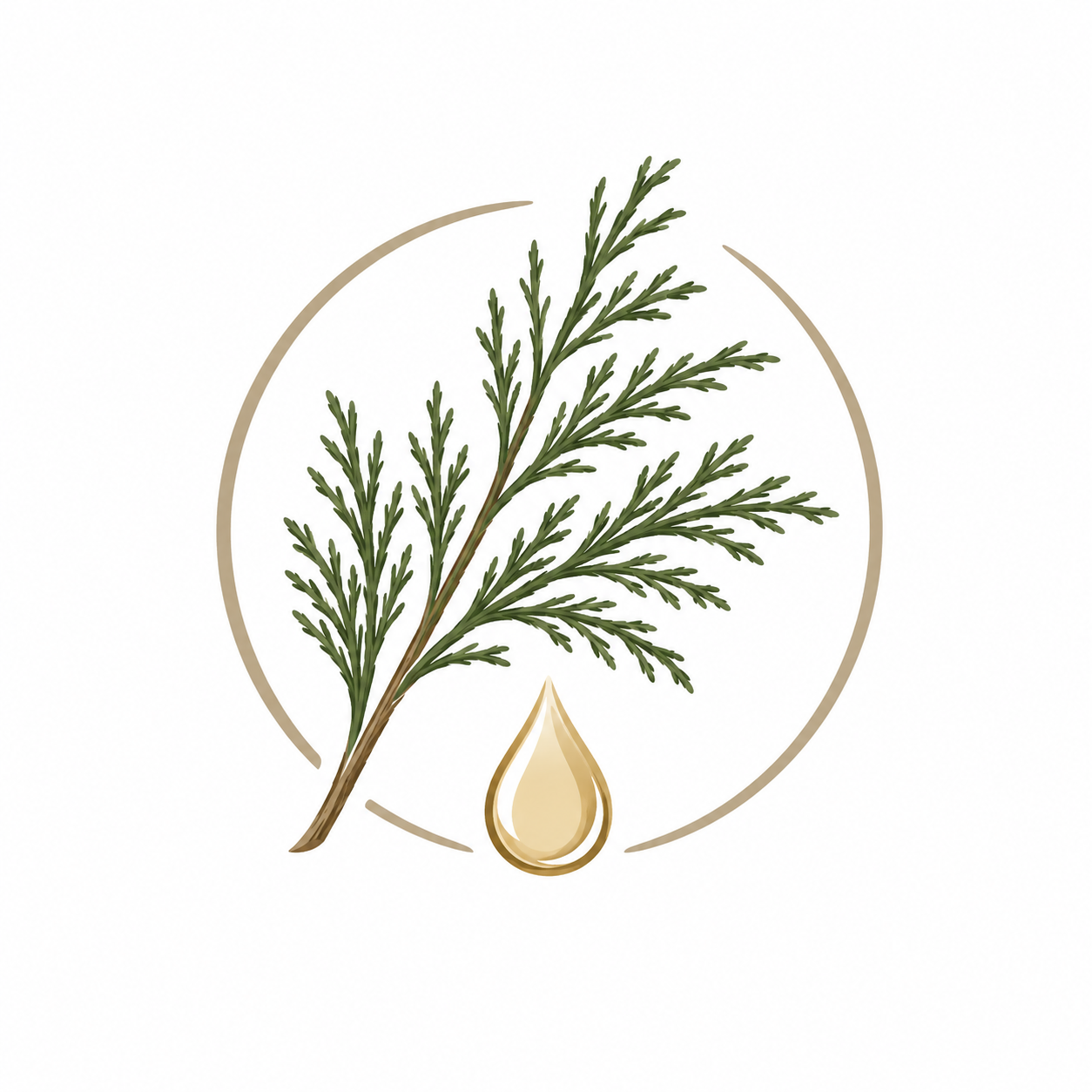 Illustration of a green pine branch with a drop of oil or resin below it, enclosed in a circular design.