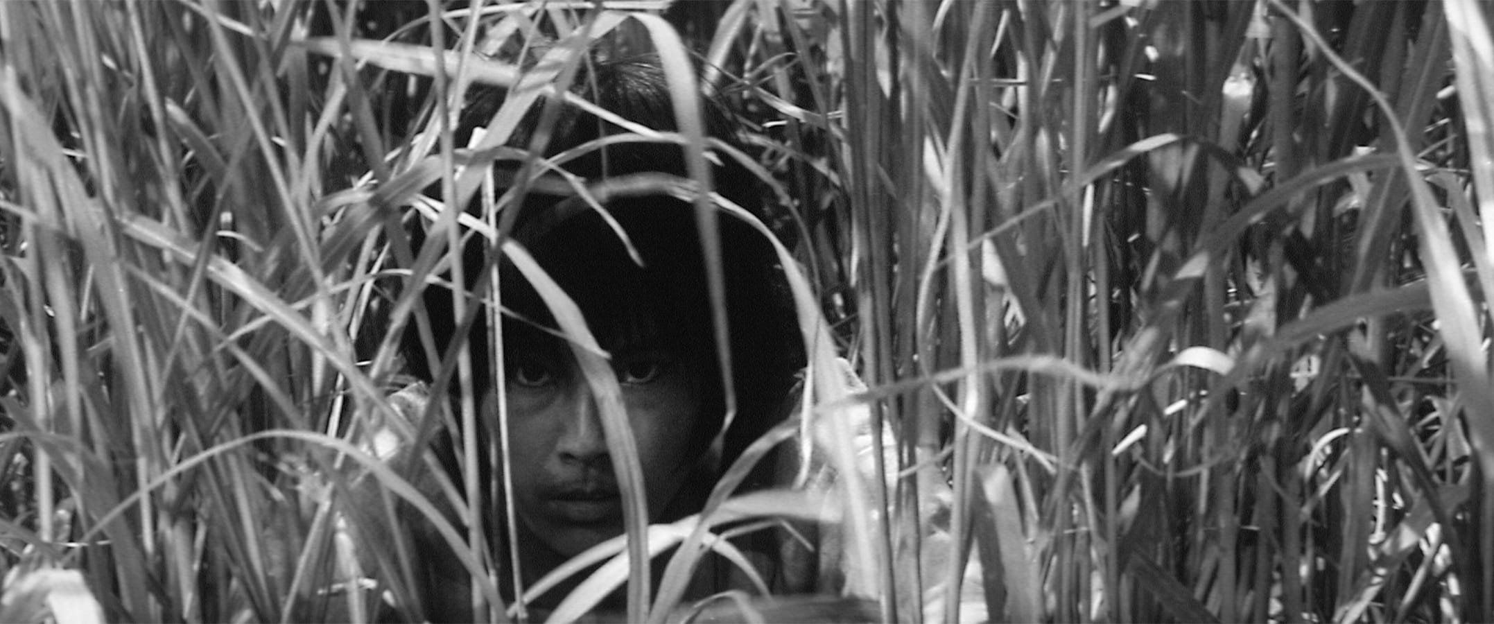 Onibaba (1964) — Corn Wagon Thunder Onibaba (1964) — Corn Wagon Thunder