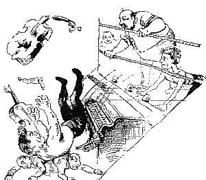Gotch orchastria pit spot.gif