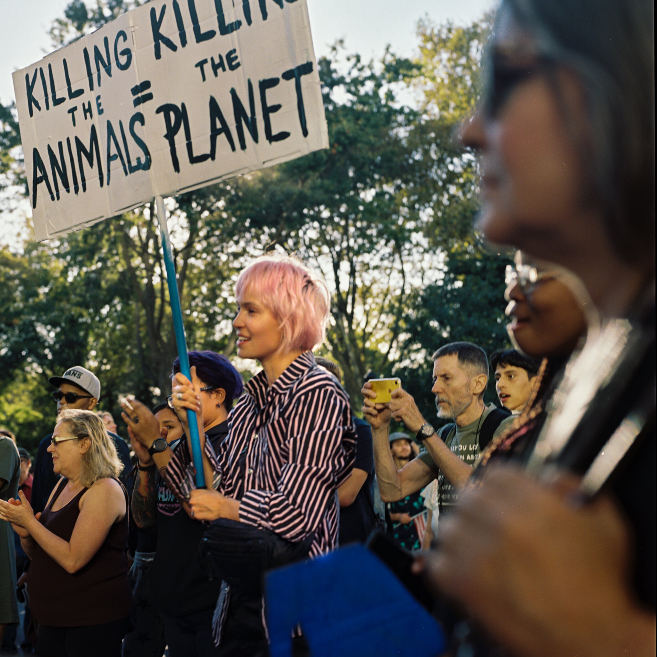 climate strike | 2019