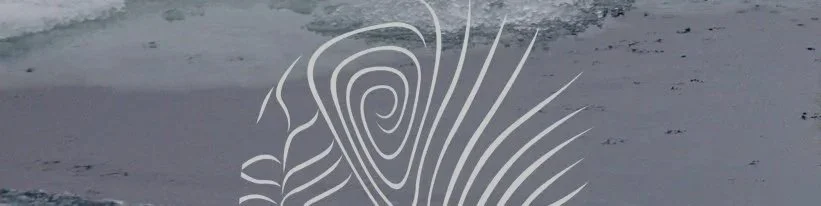 Eisbaer springt klein crop1 copy.jpg